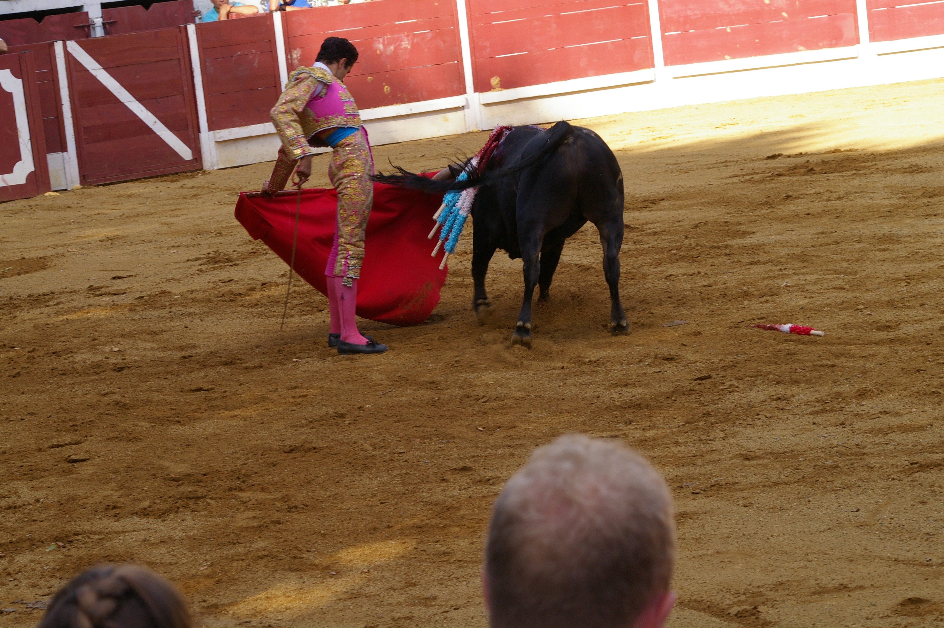 IMGP2852.JPG