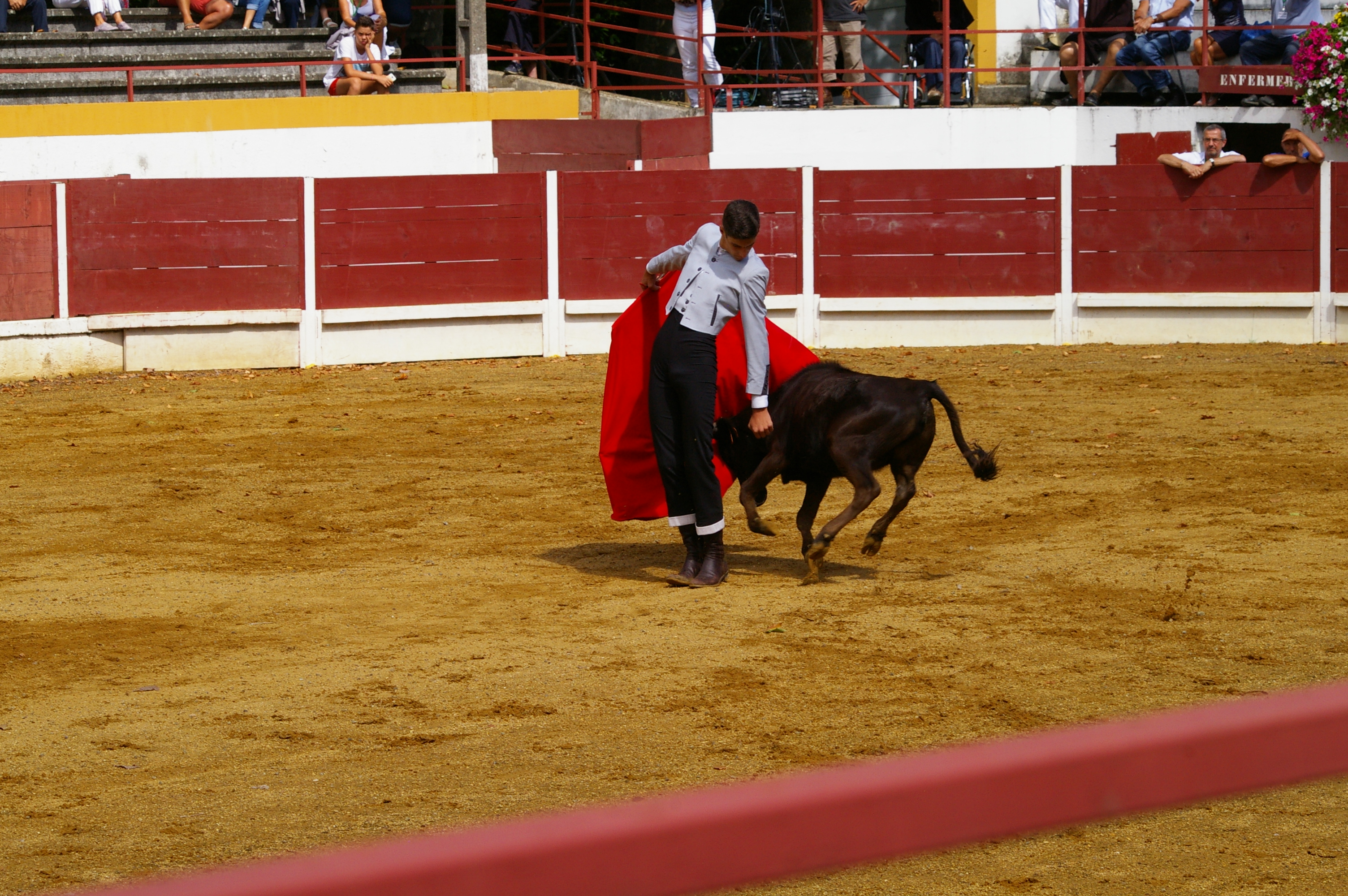 IMGP2841.JPG