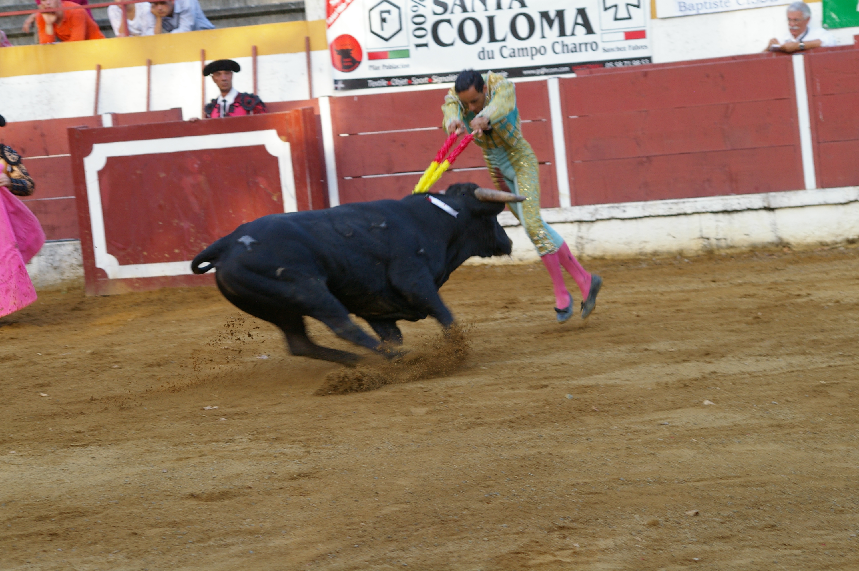 IMGP2868.JPG