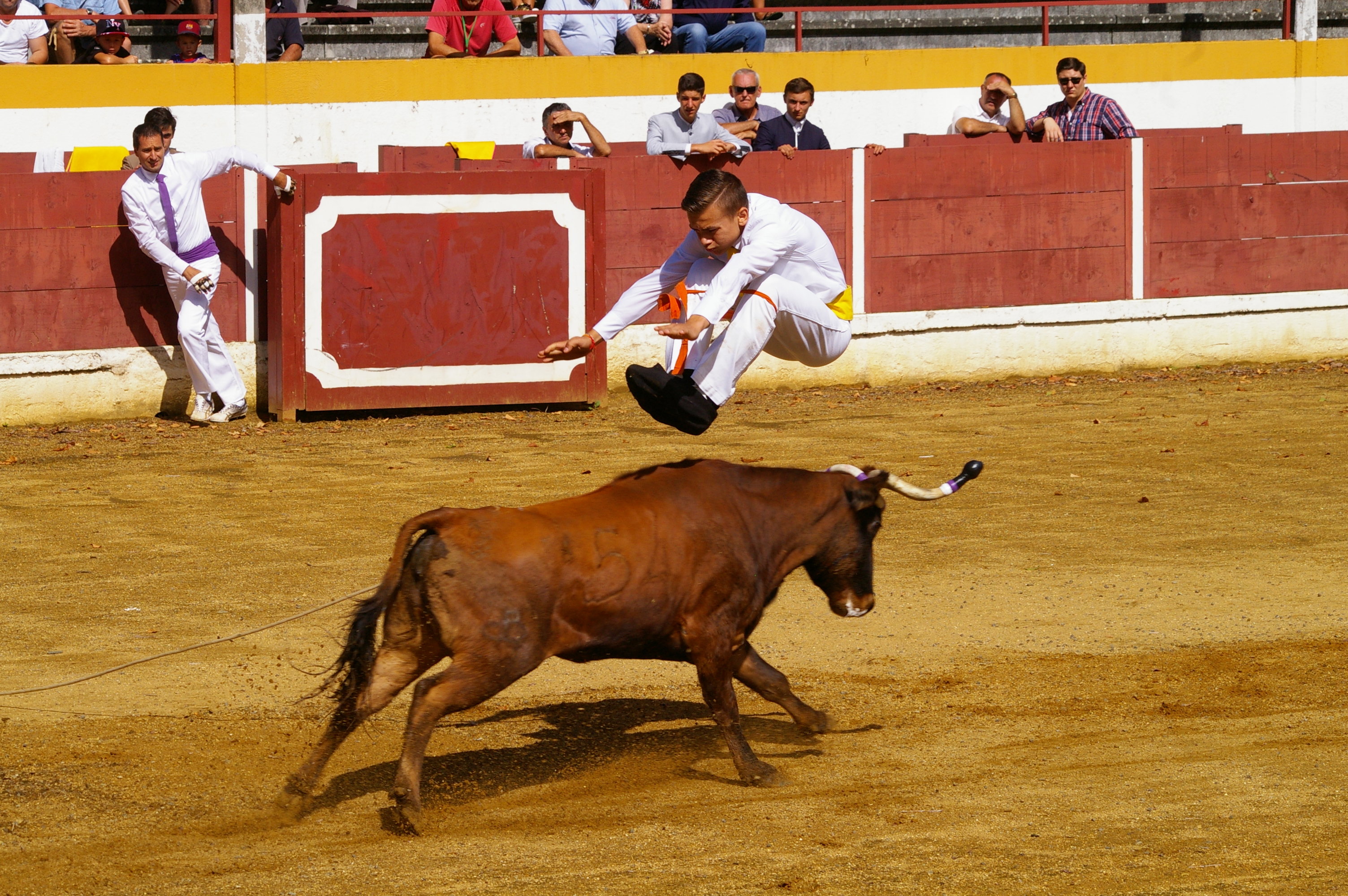 IMGP2832.JPG