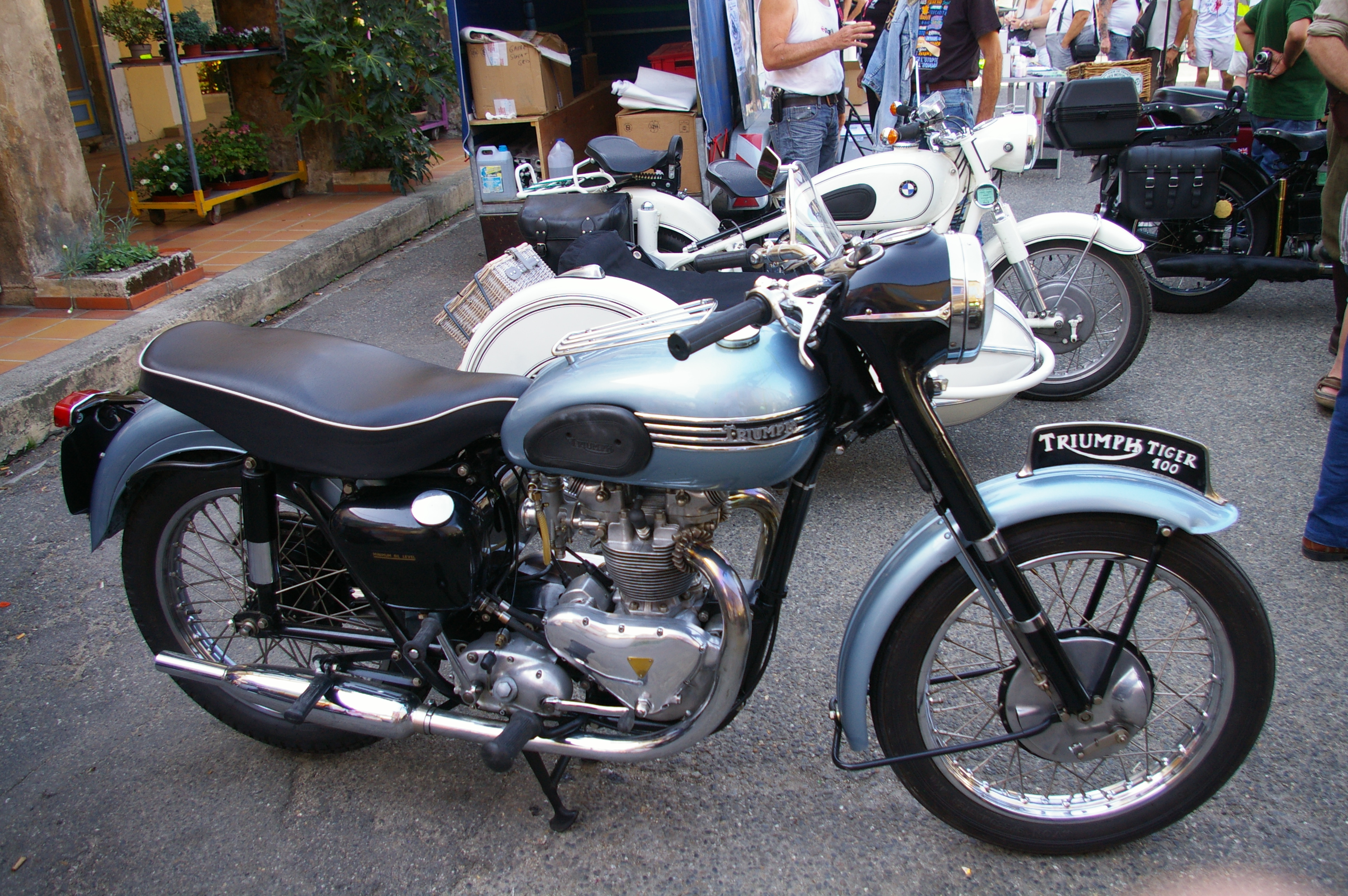 IMGP2879.JPG