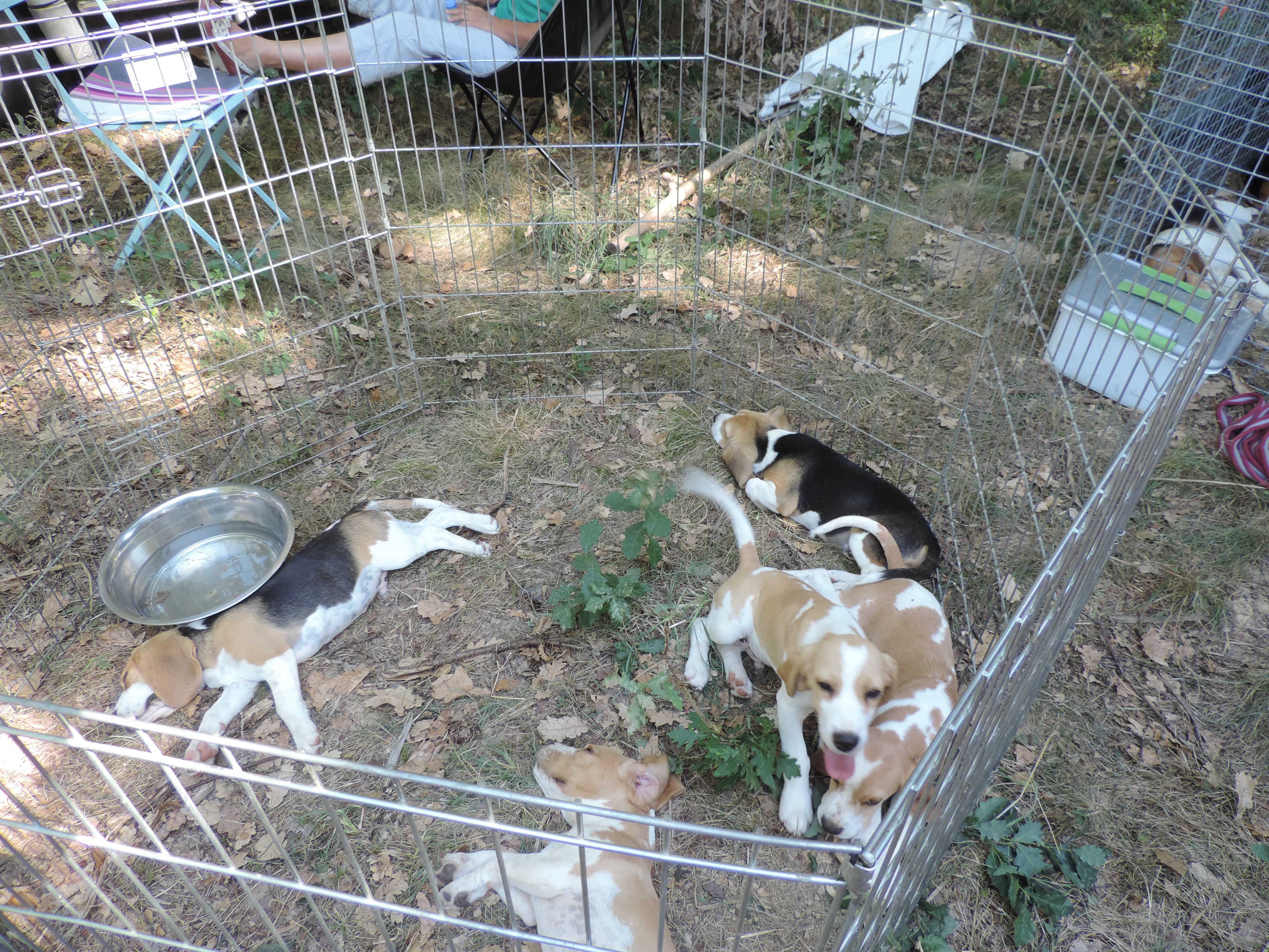 DSCN5425.JPG