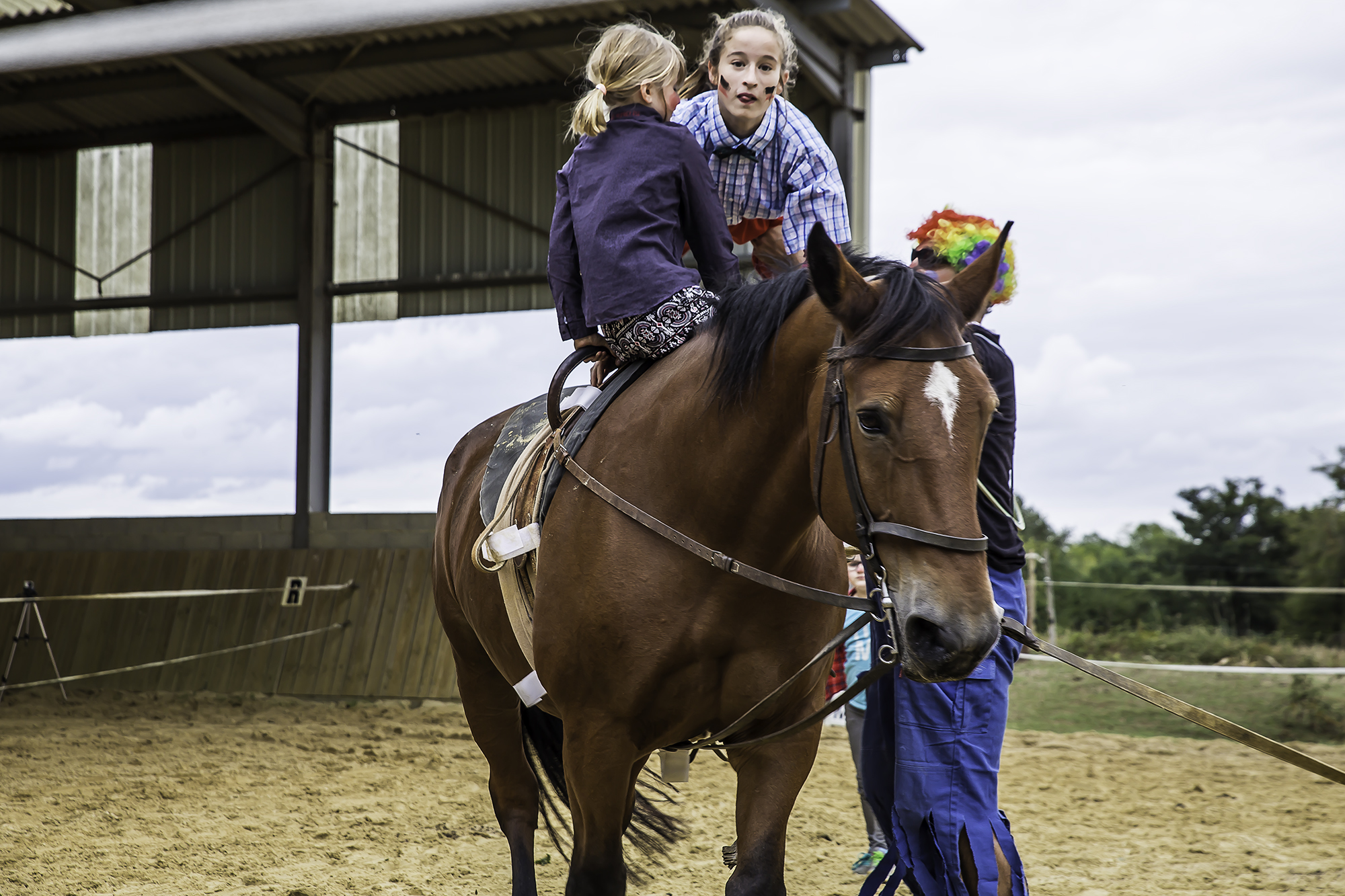 4 Fête du cheval au Benquet 1 180916.jpg