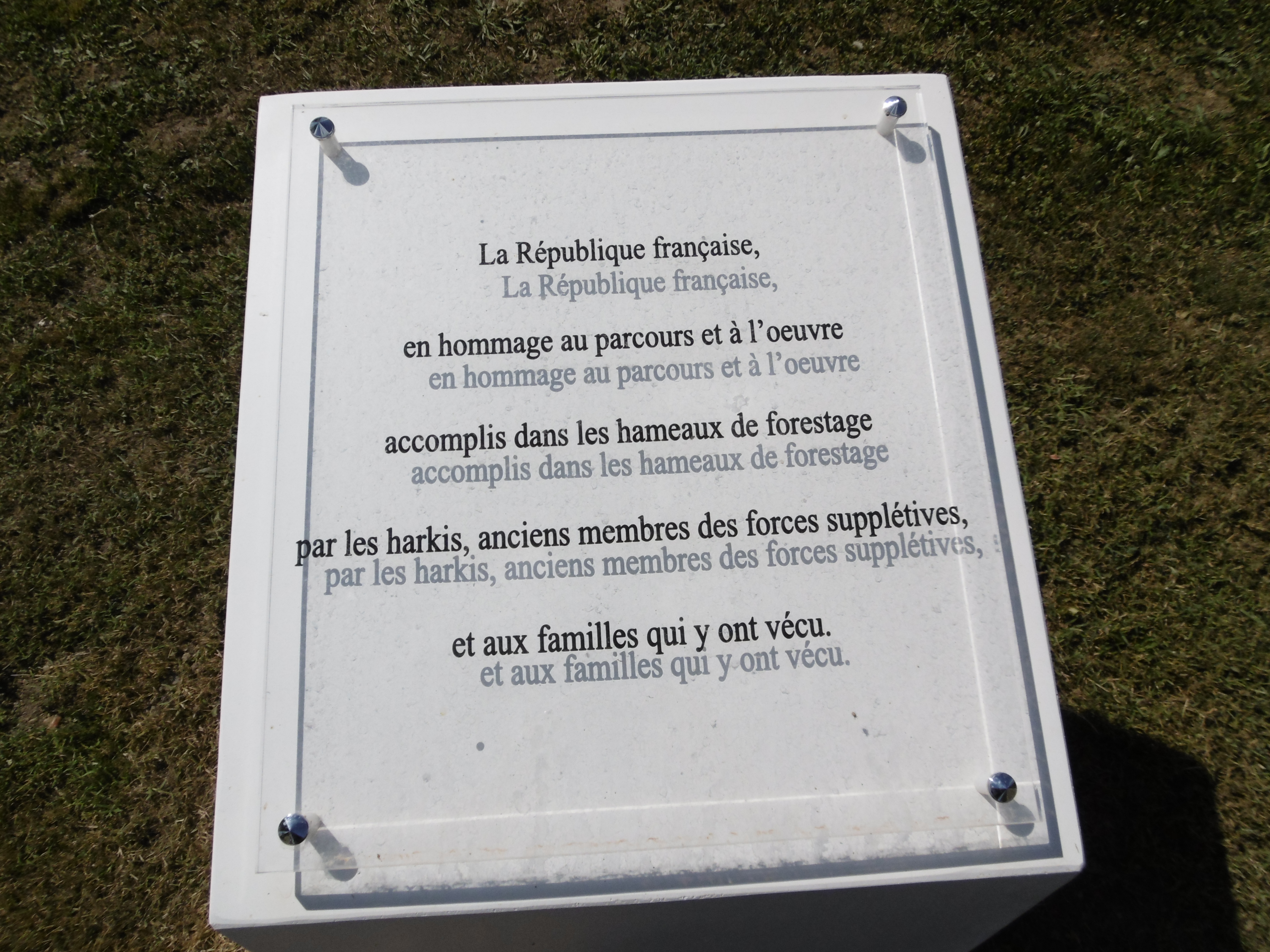 P1010001_3511.JPG