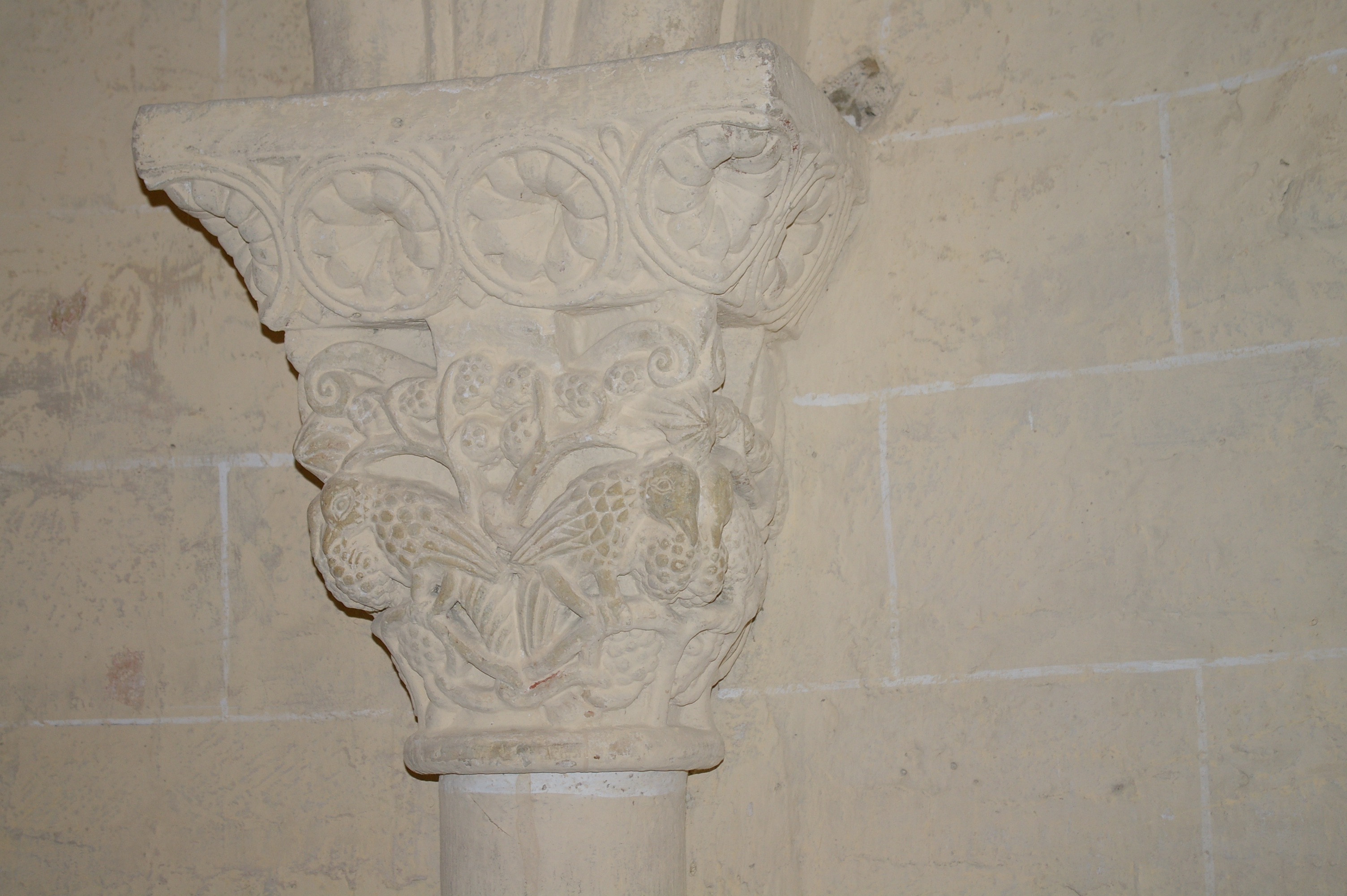 IMGP3063.JPG