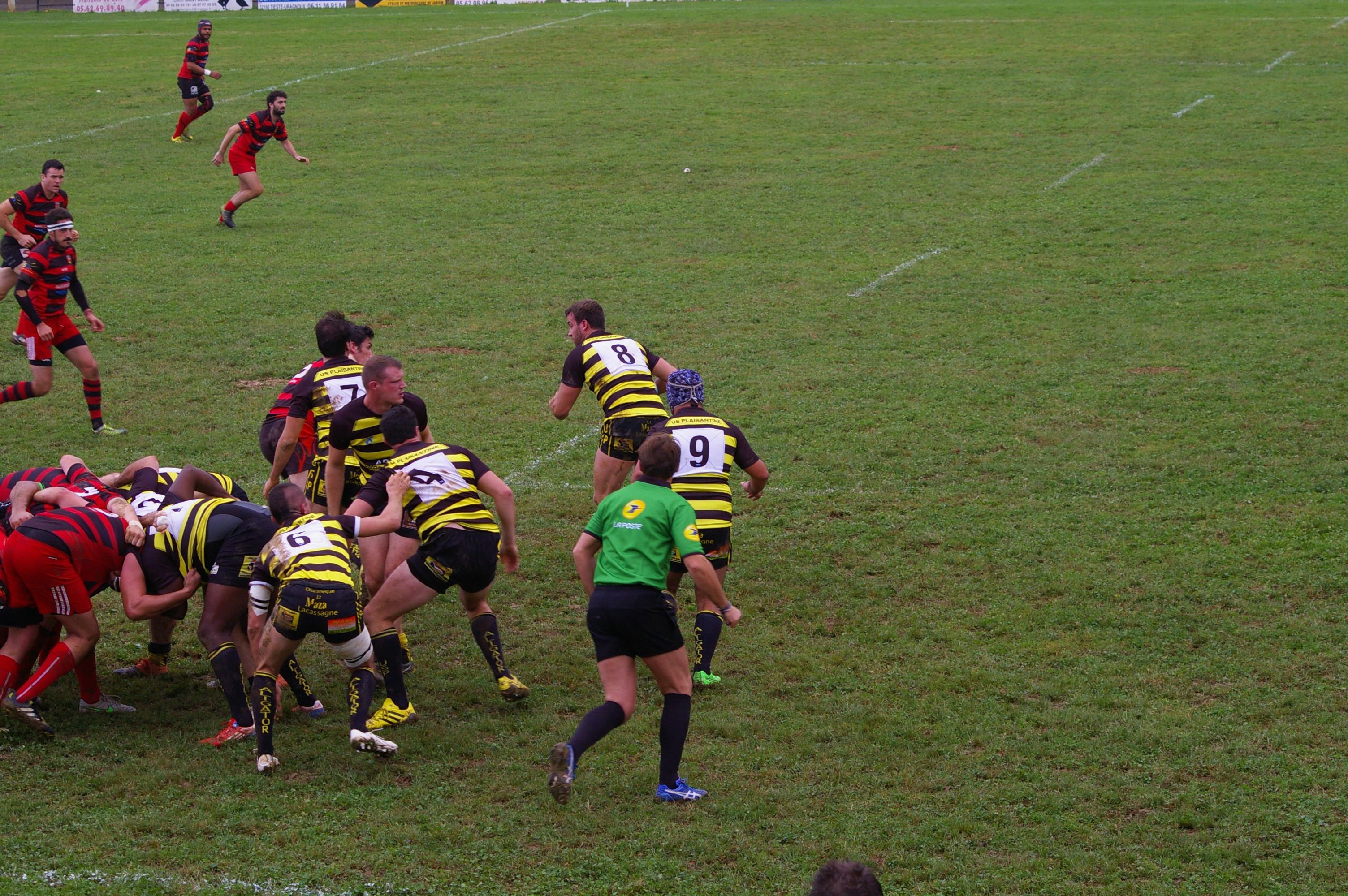 IMGP3108.JPG