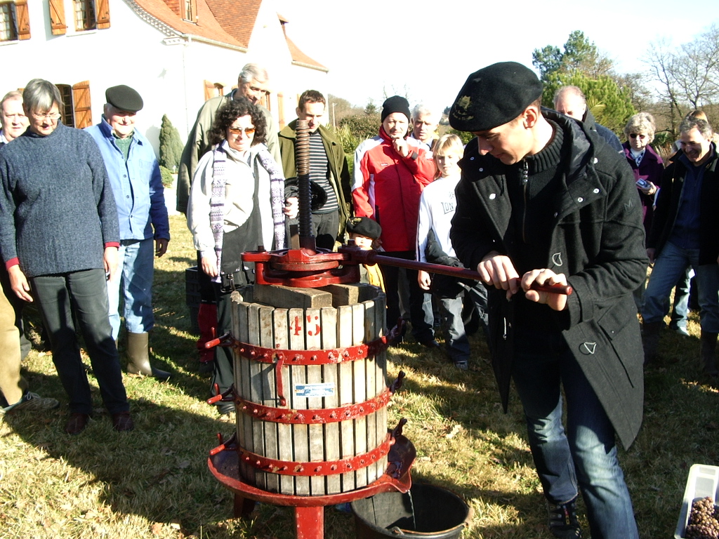 VENDANGES DE L'HIVERNAL 2007 019.JPG