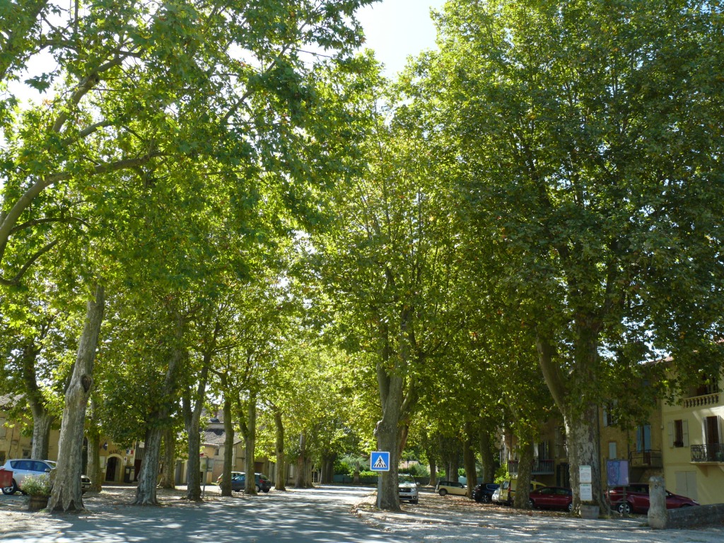 P1280366.JPG