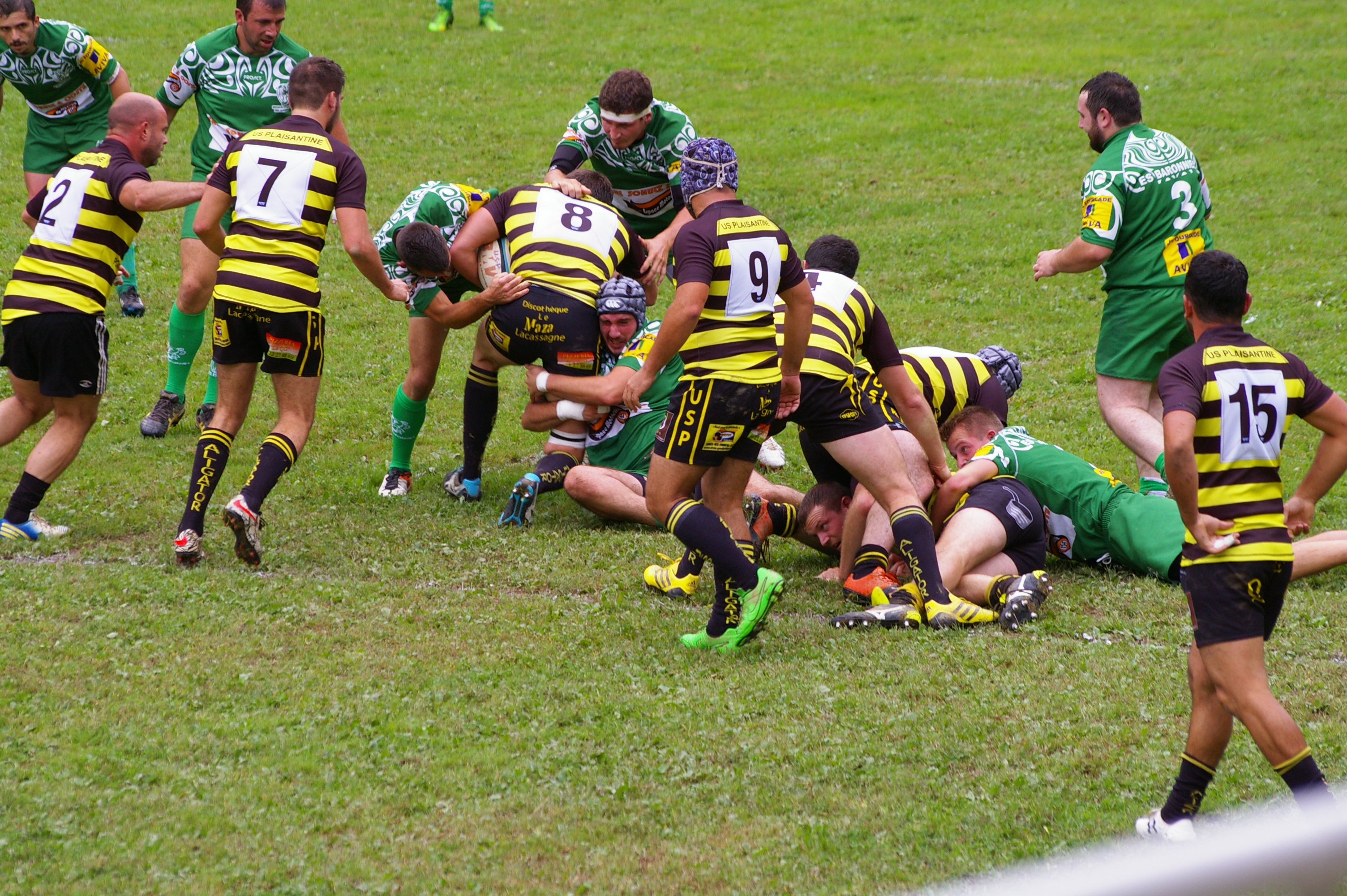 IMGP3168.JPG