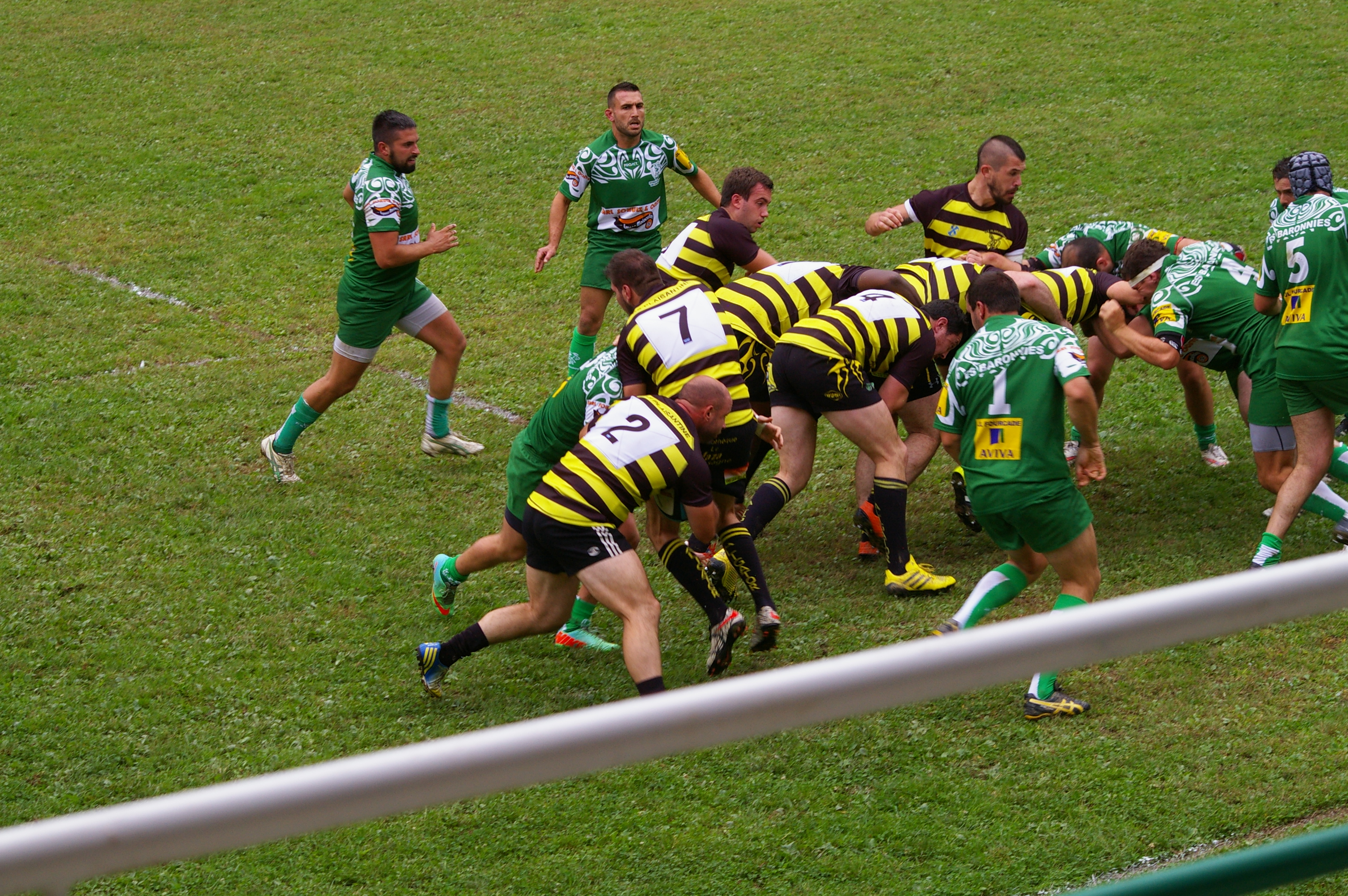 IMGP3165.JPG