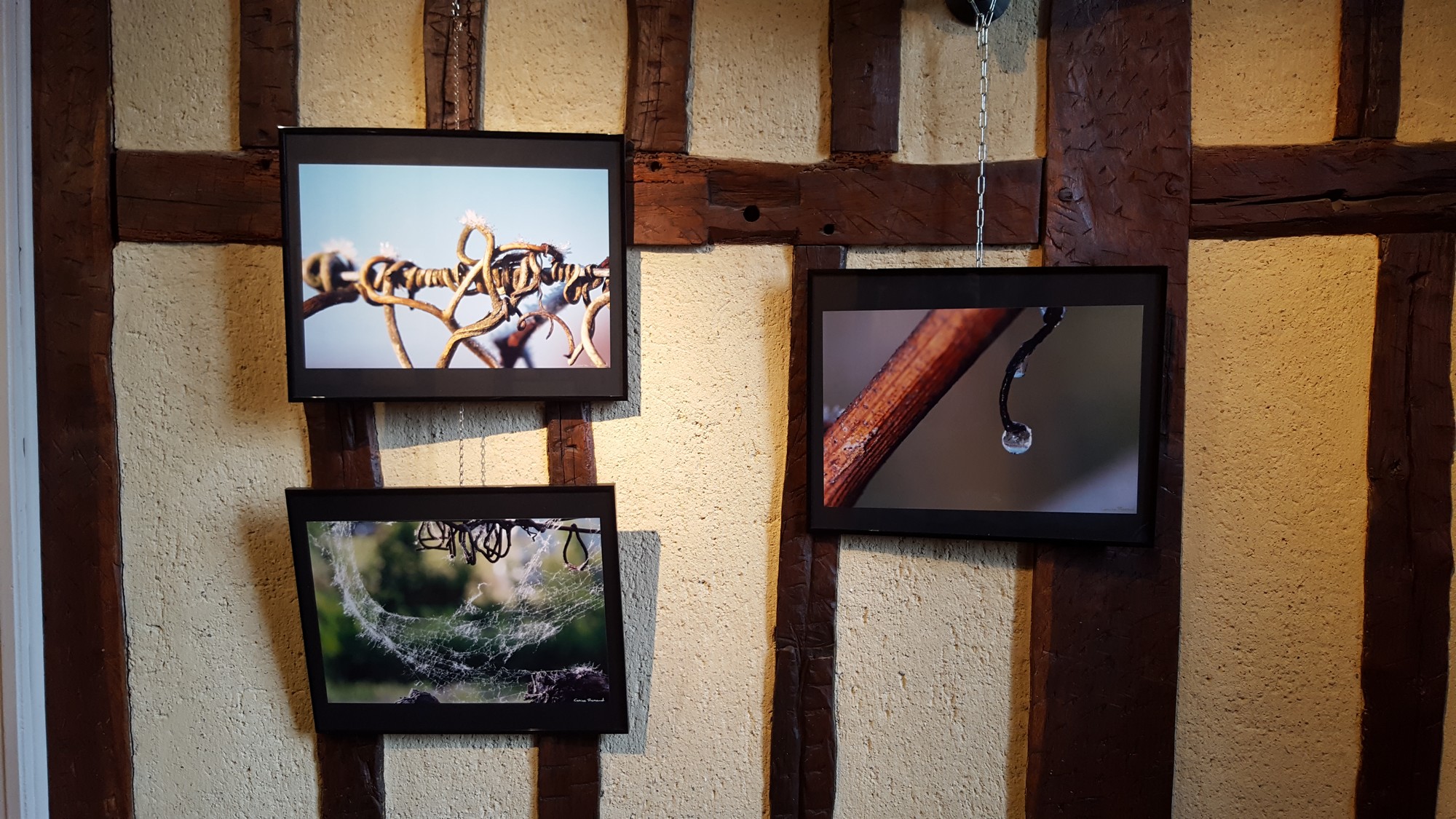 RISCLE Octobre 2016  expo_pixadour.jpg