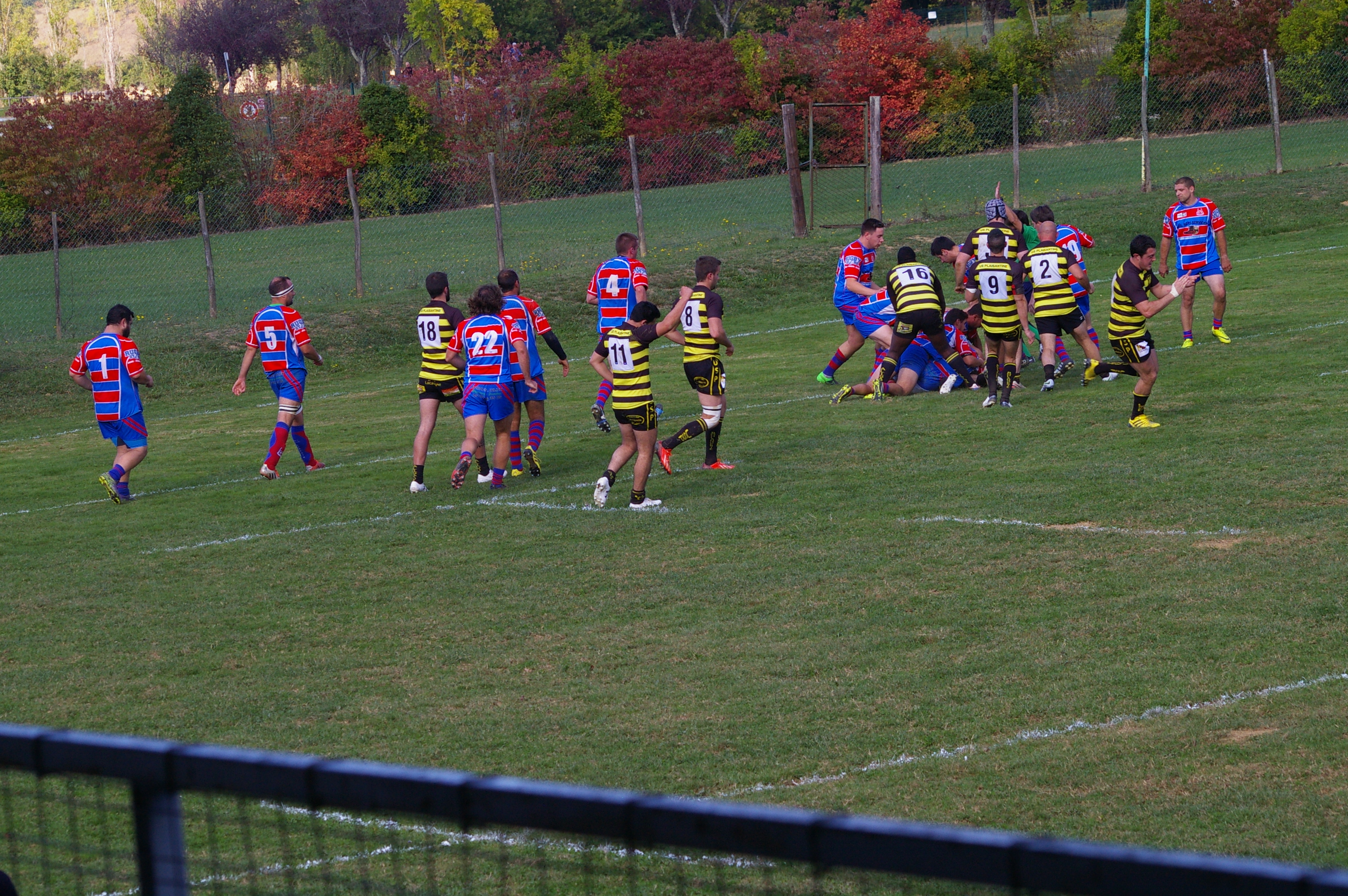 IMGP3187.JPG