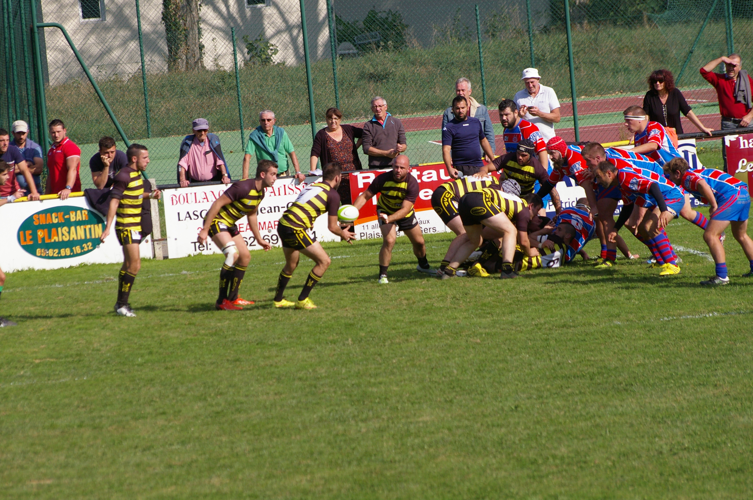 IMGP3180.JPG