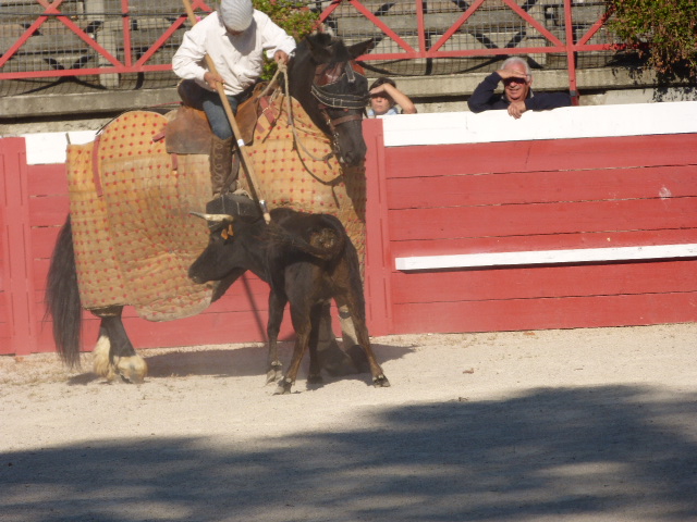 P1100491.JPG