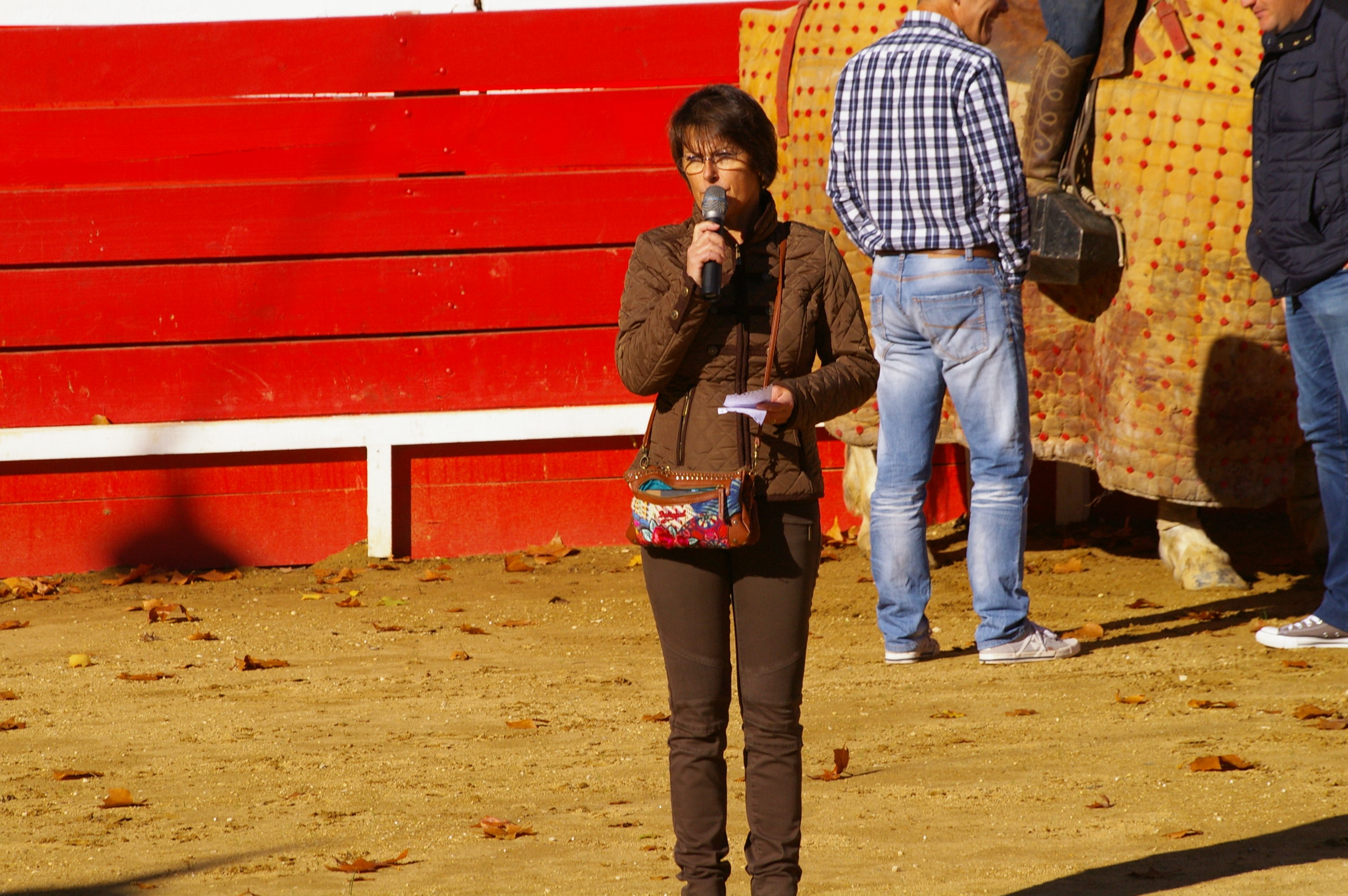 IMGP3218.JPG