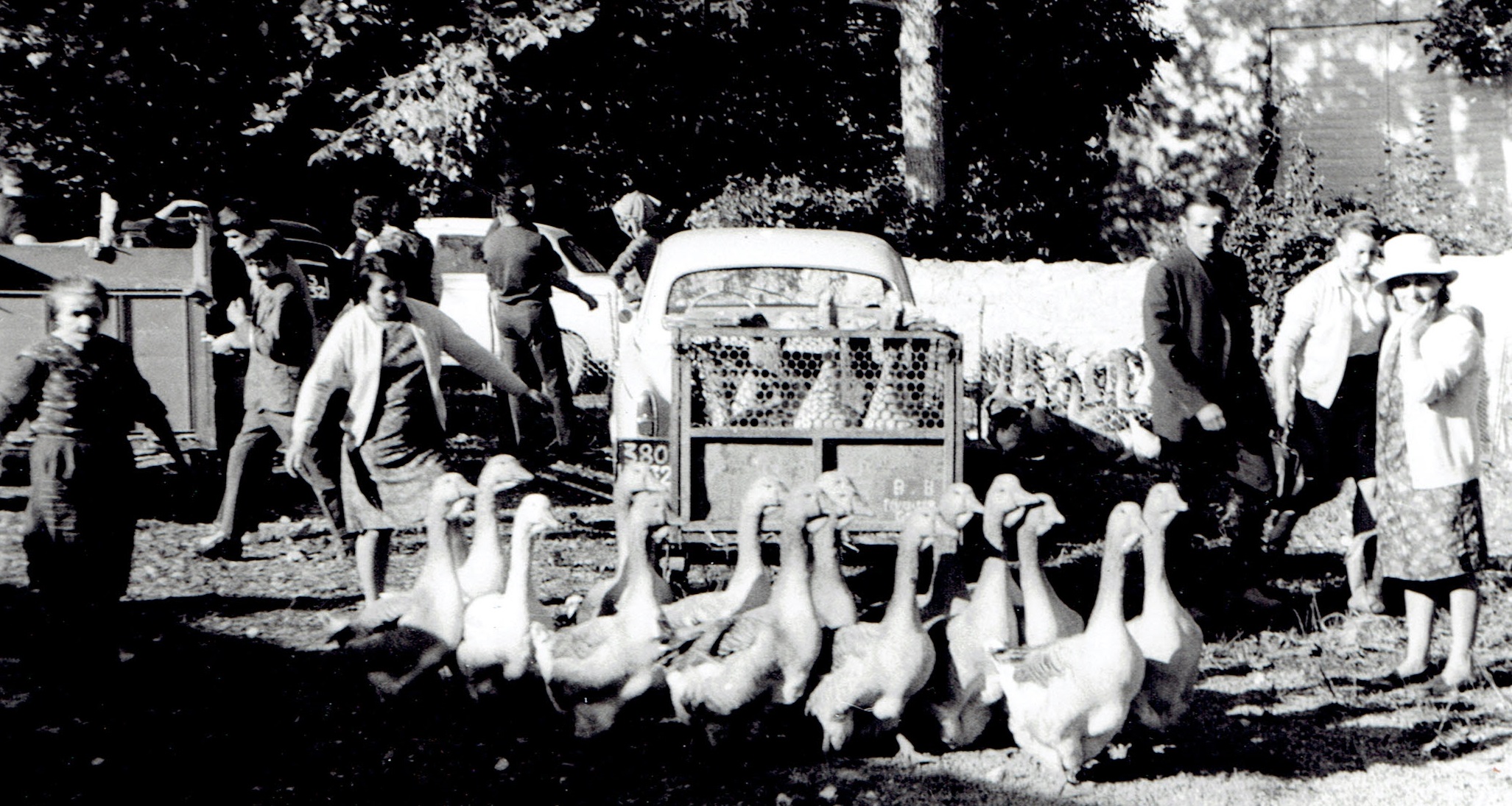 CCI20102016.jpg