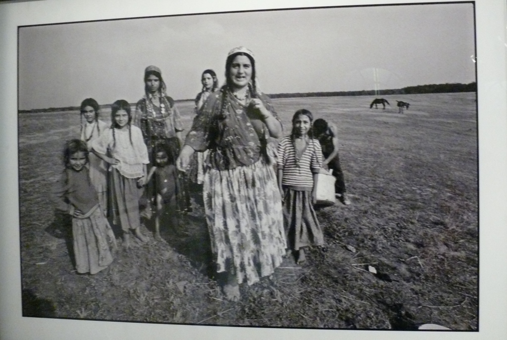 P1280843.JPG