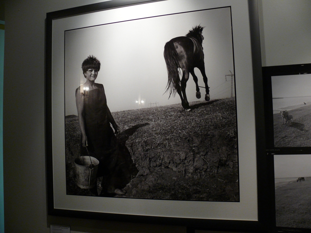 P1280842.JPG