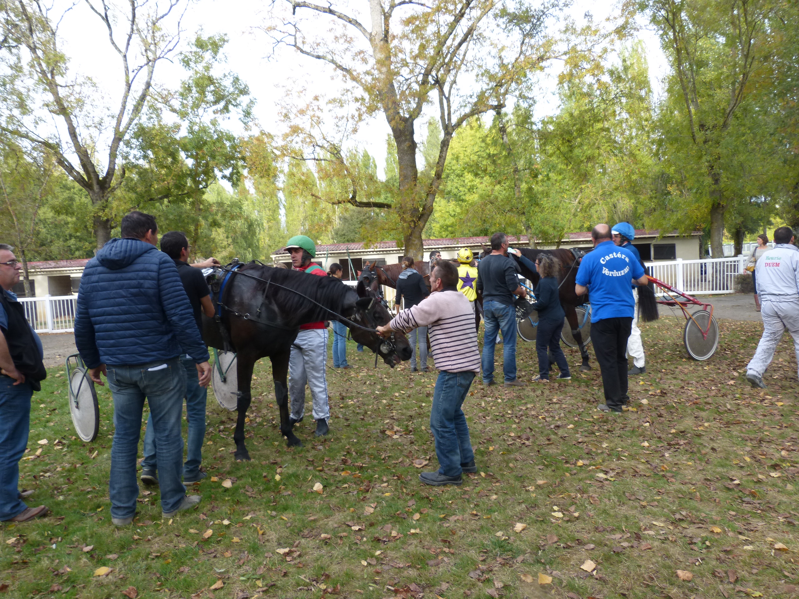 P1100652.JPG