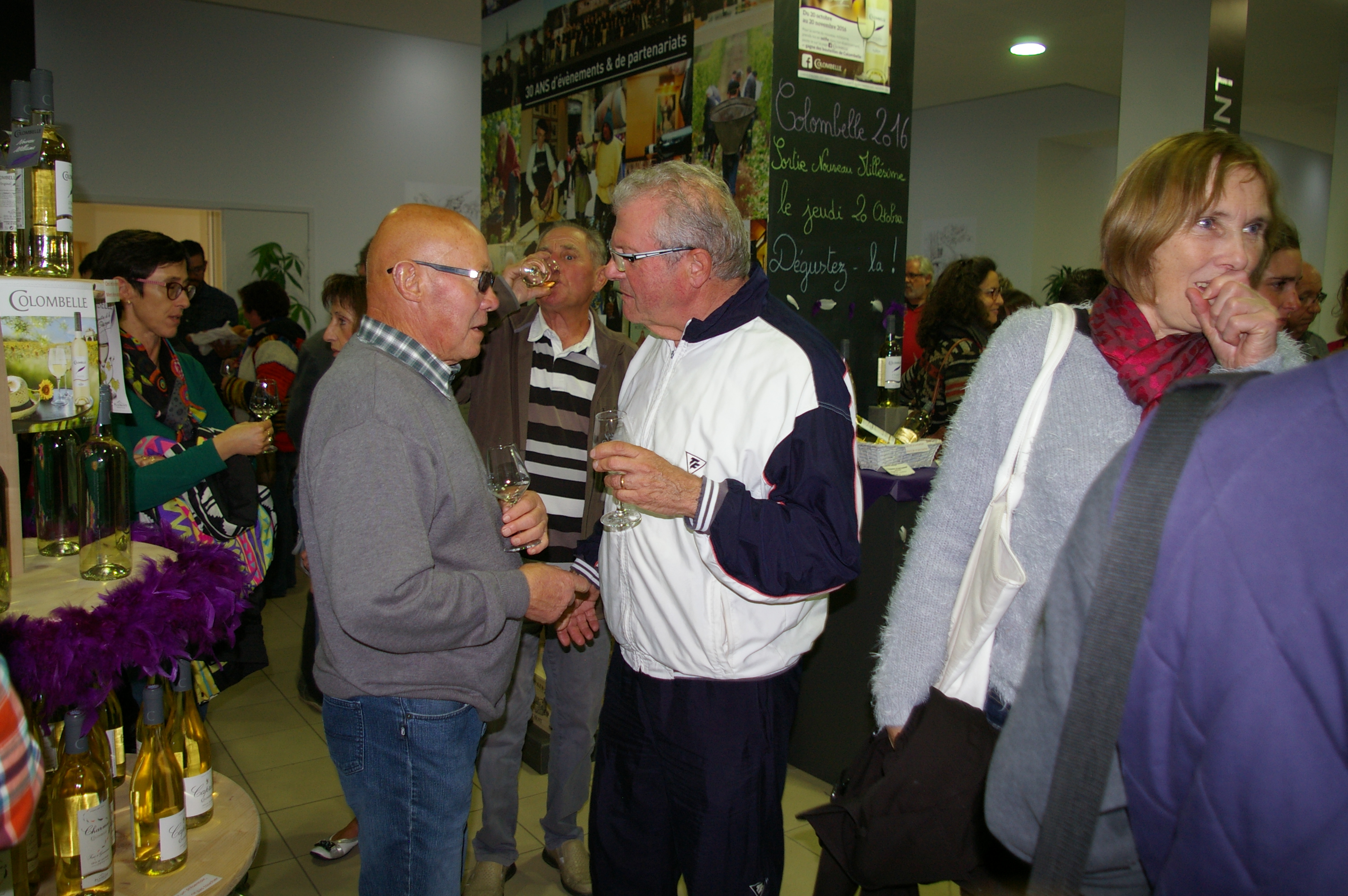 IMGP3363.JPG