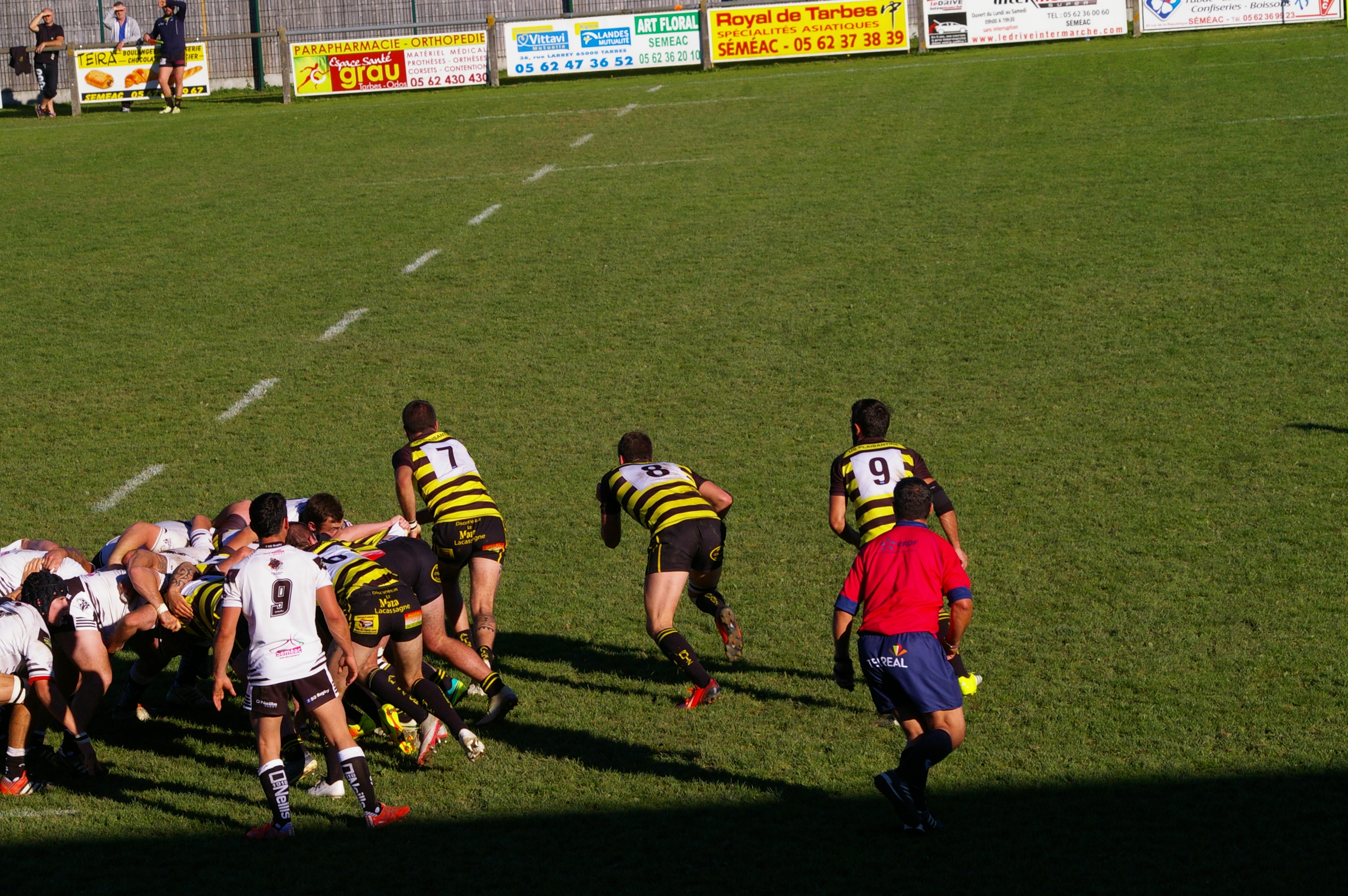 IMGP3393.JPG