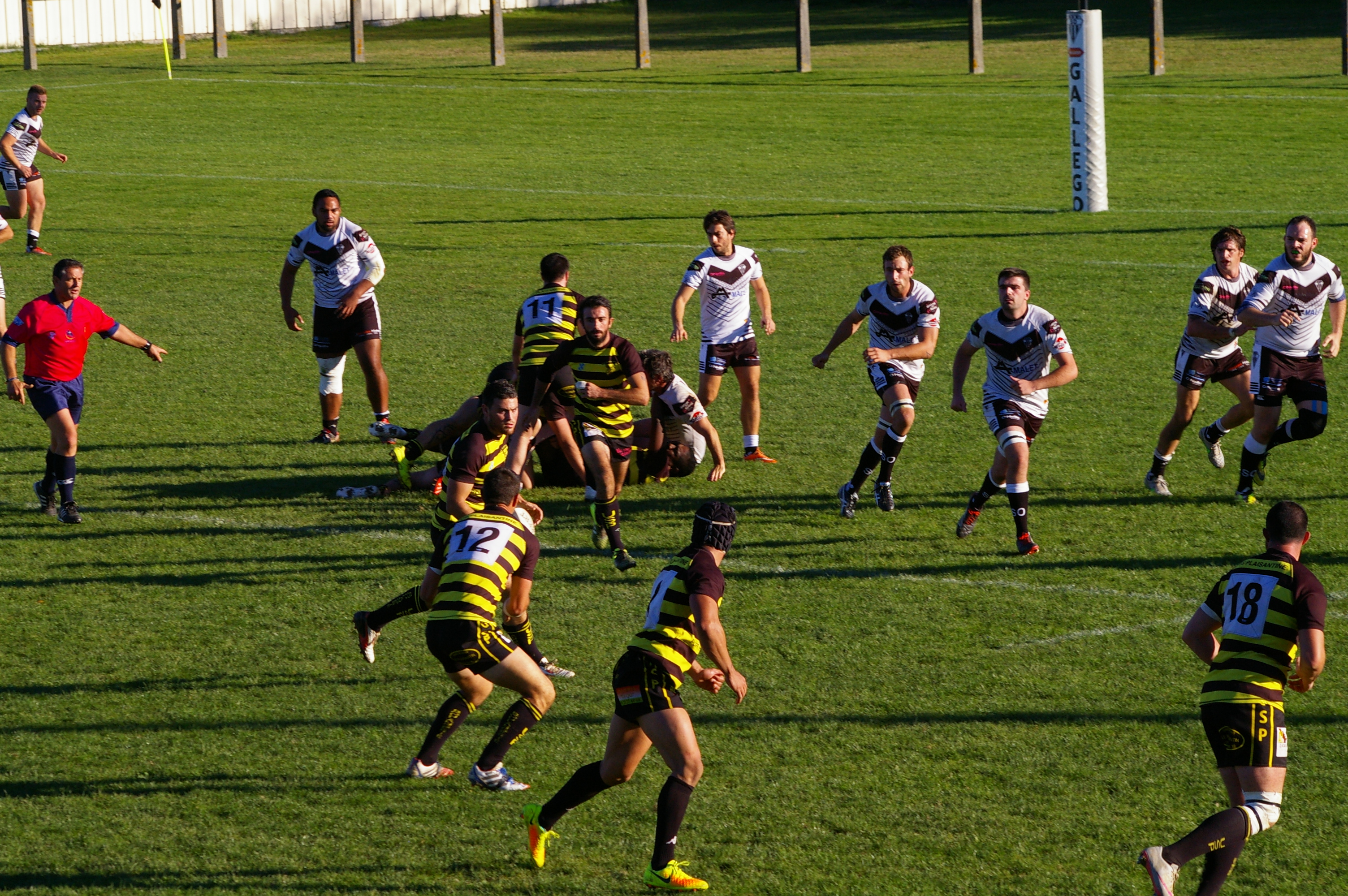 IMGP3402.JPG