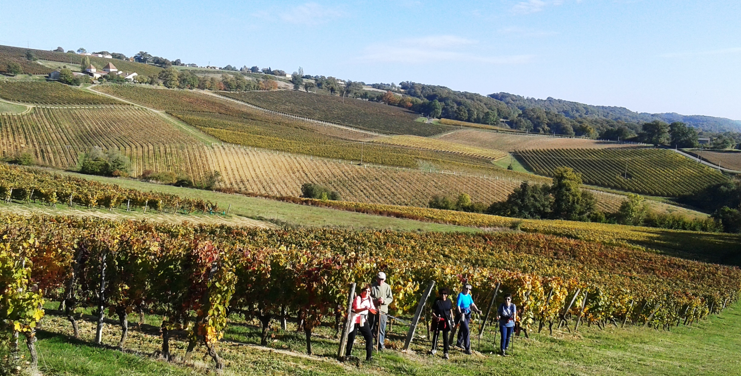 LANNUX AURENSAN SAGES DU LEEES DANS LES VIGNES.jpg