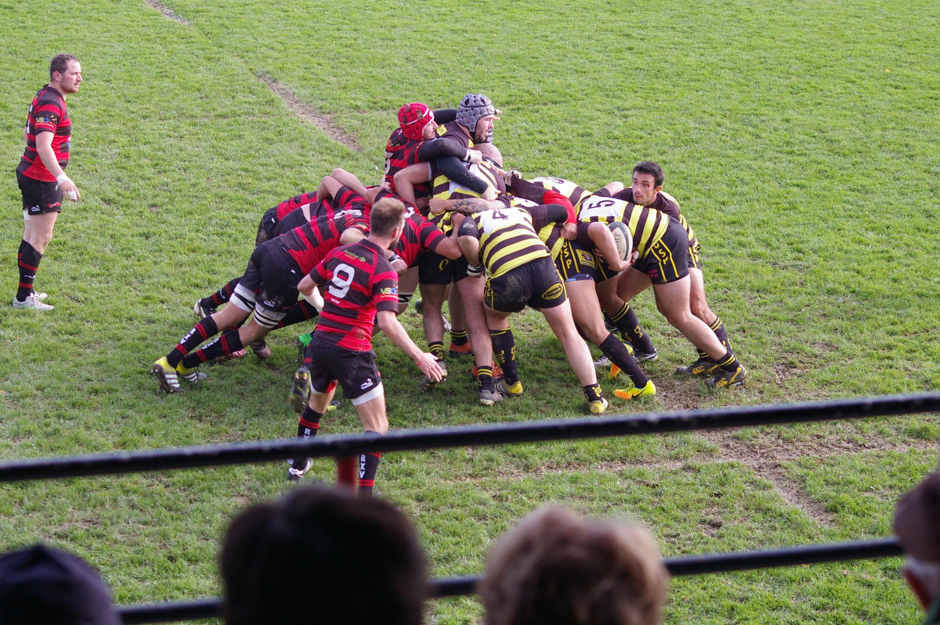 IMGP3440.JPG