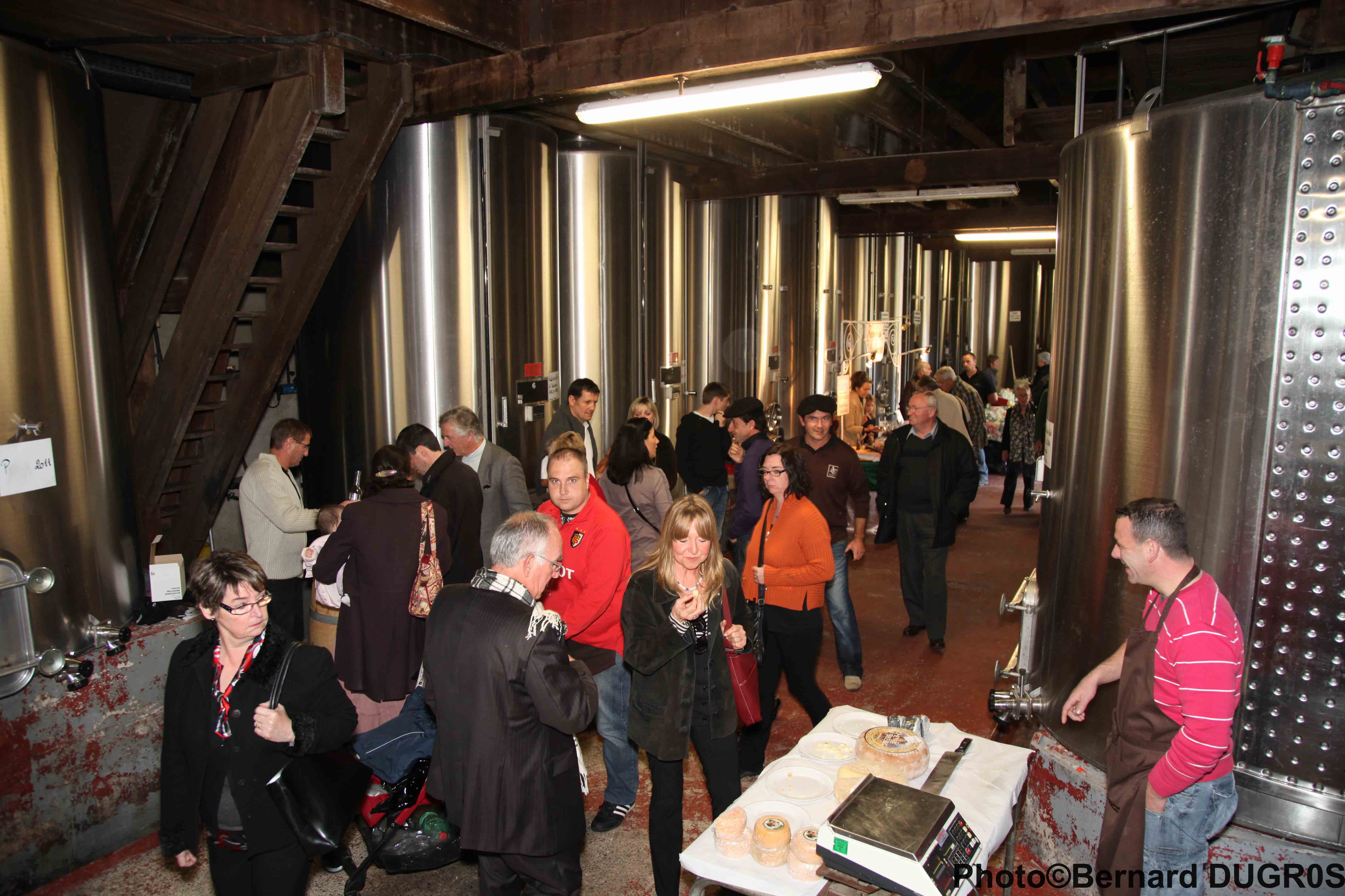 MADIRAN MAISON DES VINS IMG_9258.jpg