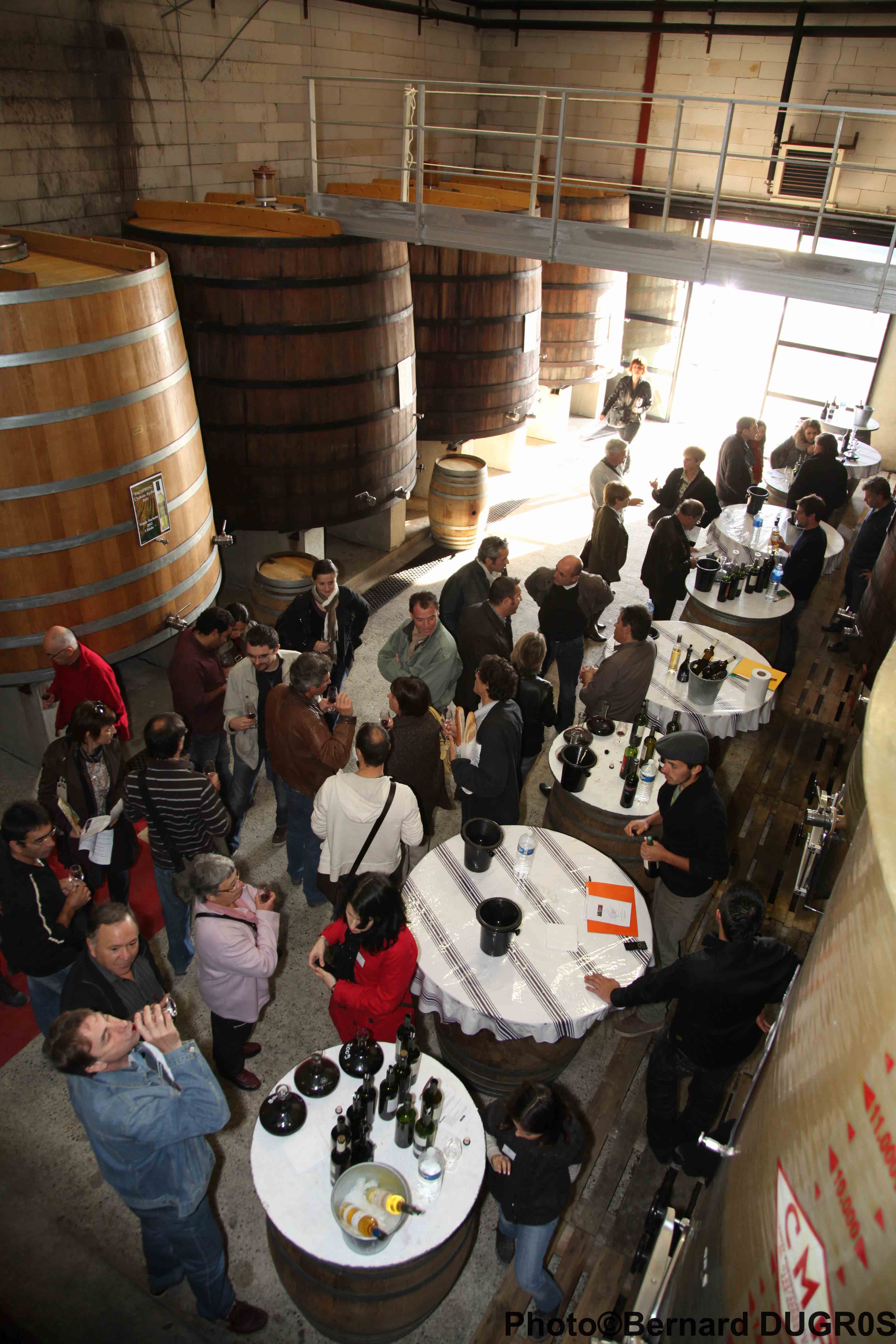 MADIRAN MAISON DES VINS IMG_9070.jpg