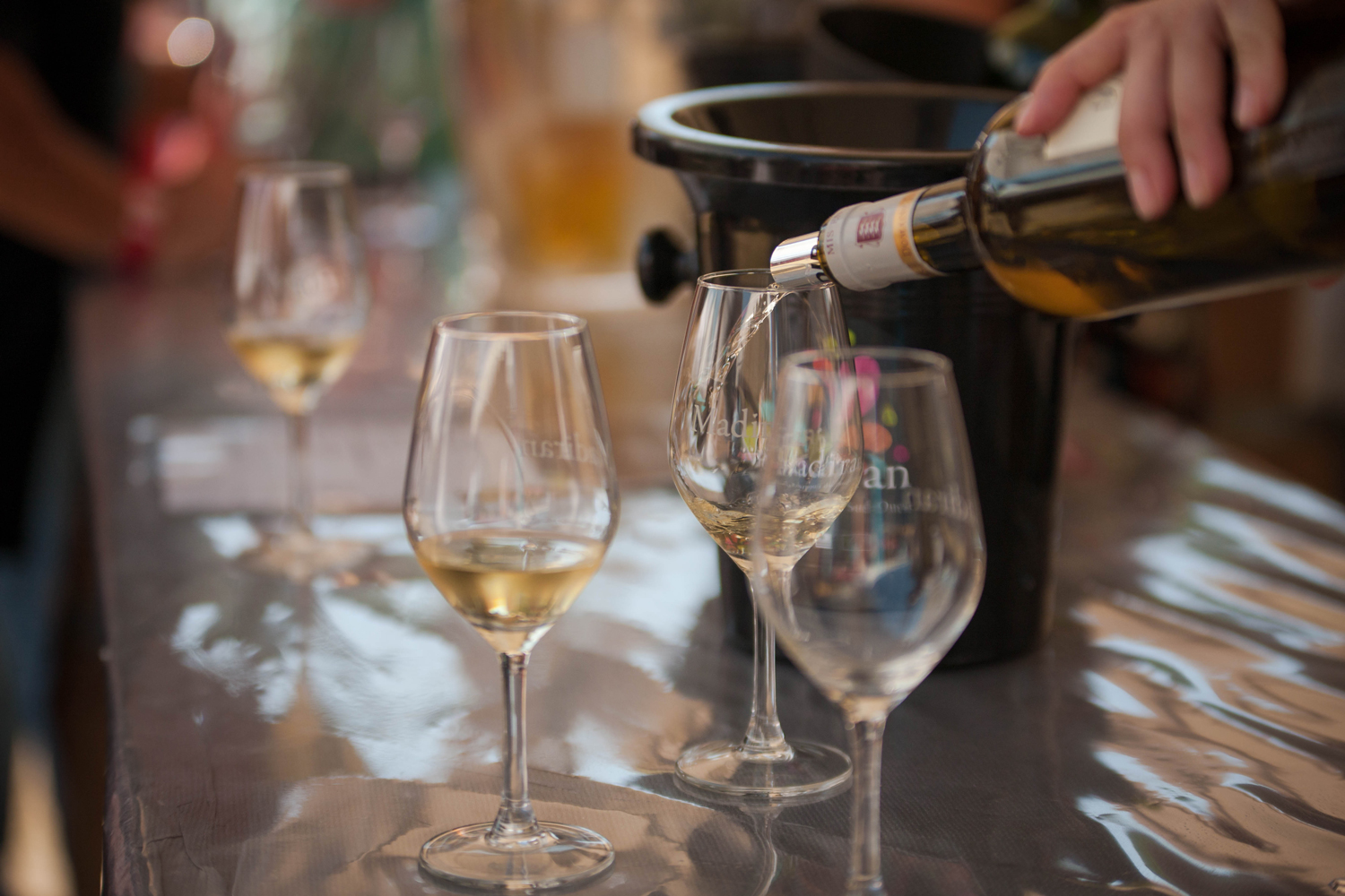 MAISON DES VINS MADIRAN BDF1J4B3708.jpg