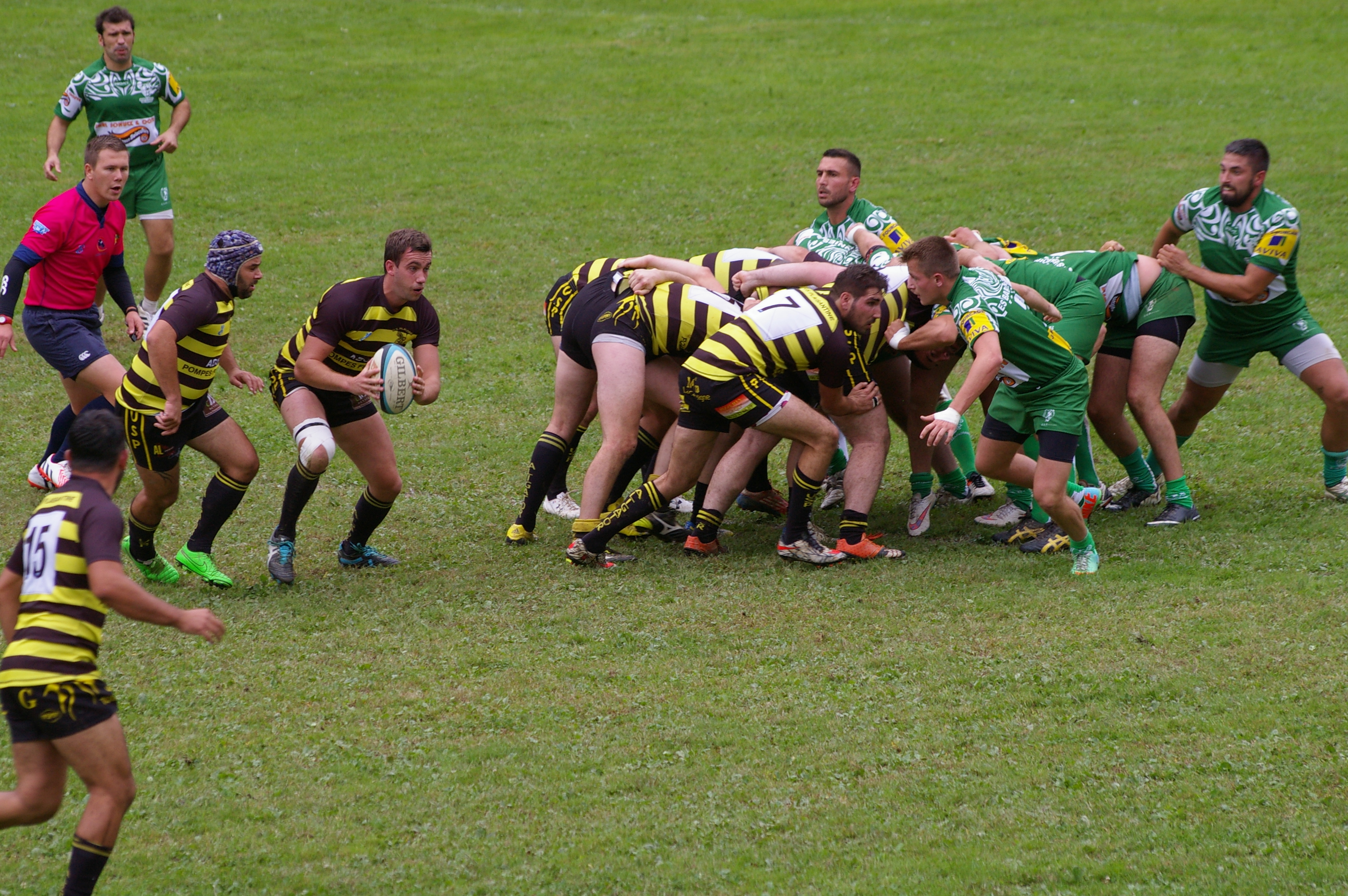 IMGP3166.JPG