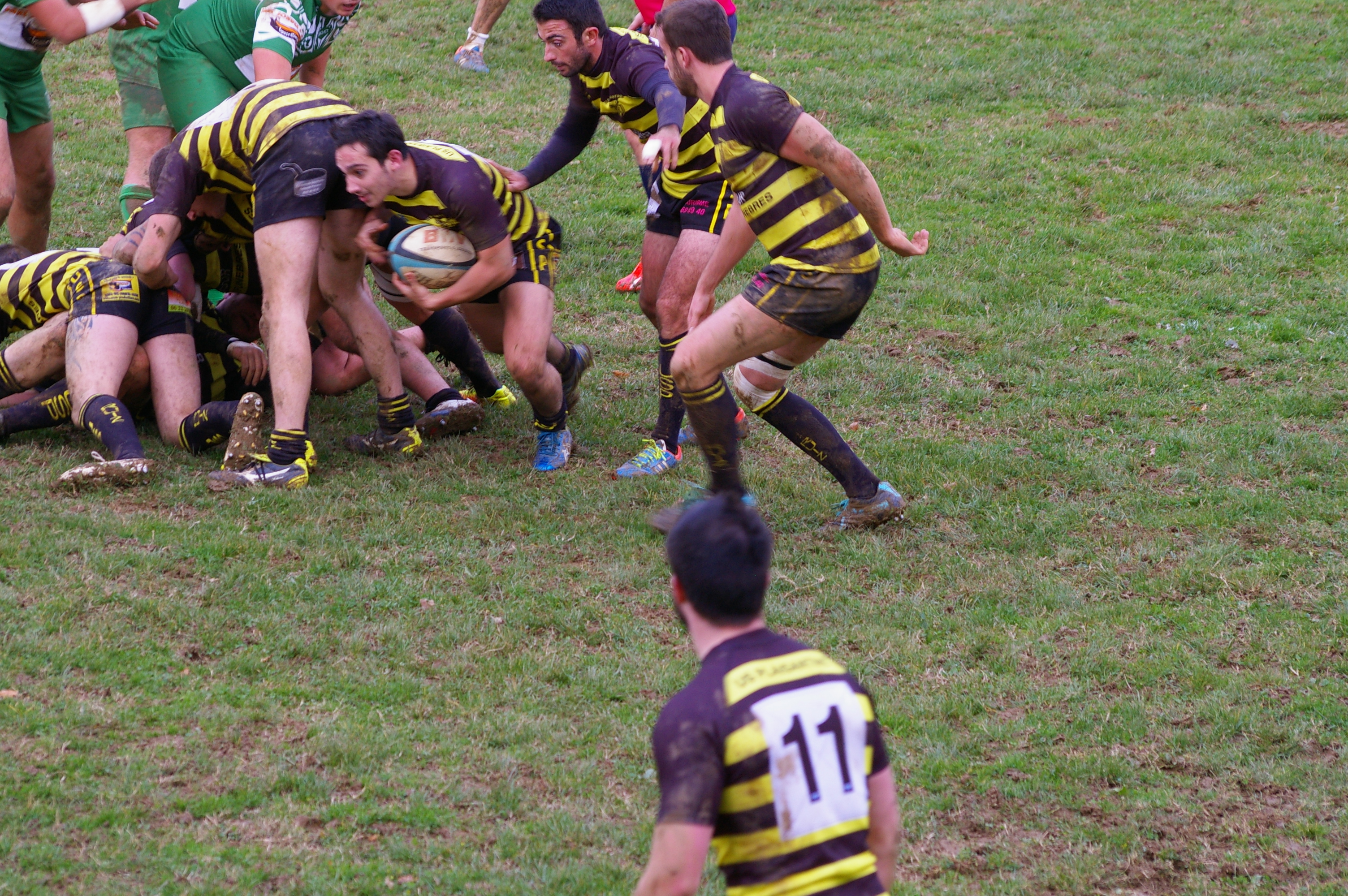 IMGP3487.JPG