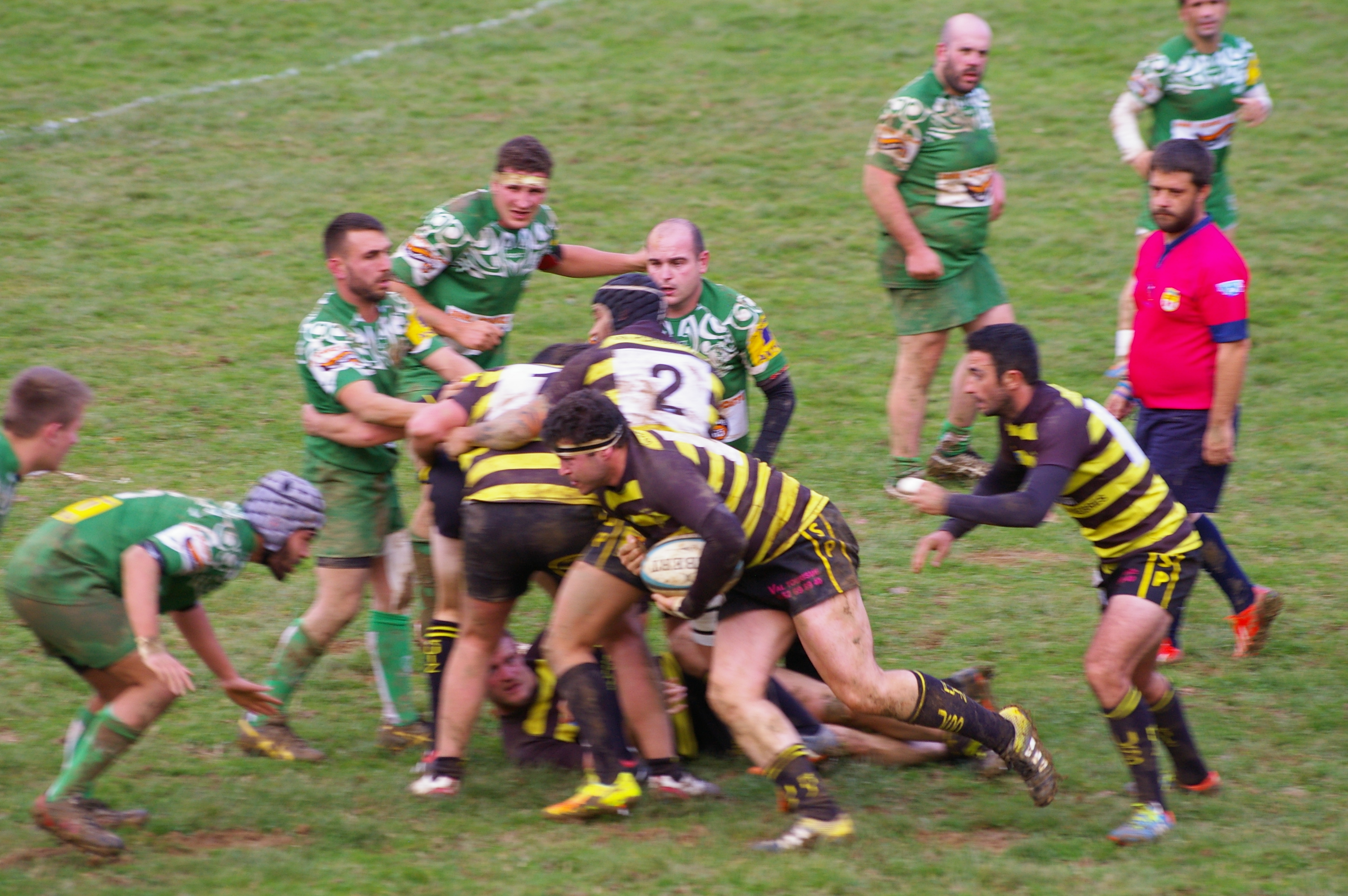 IMGP3495.JPG