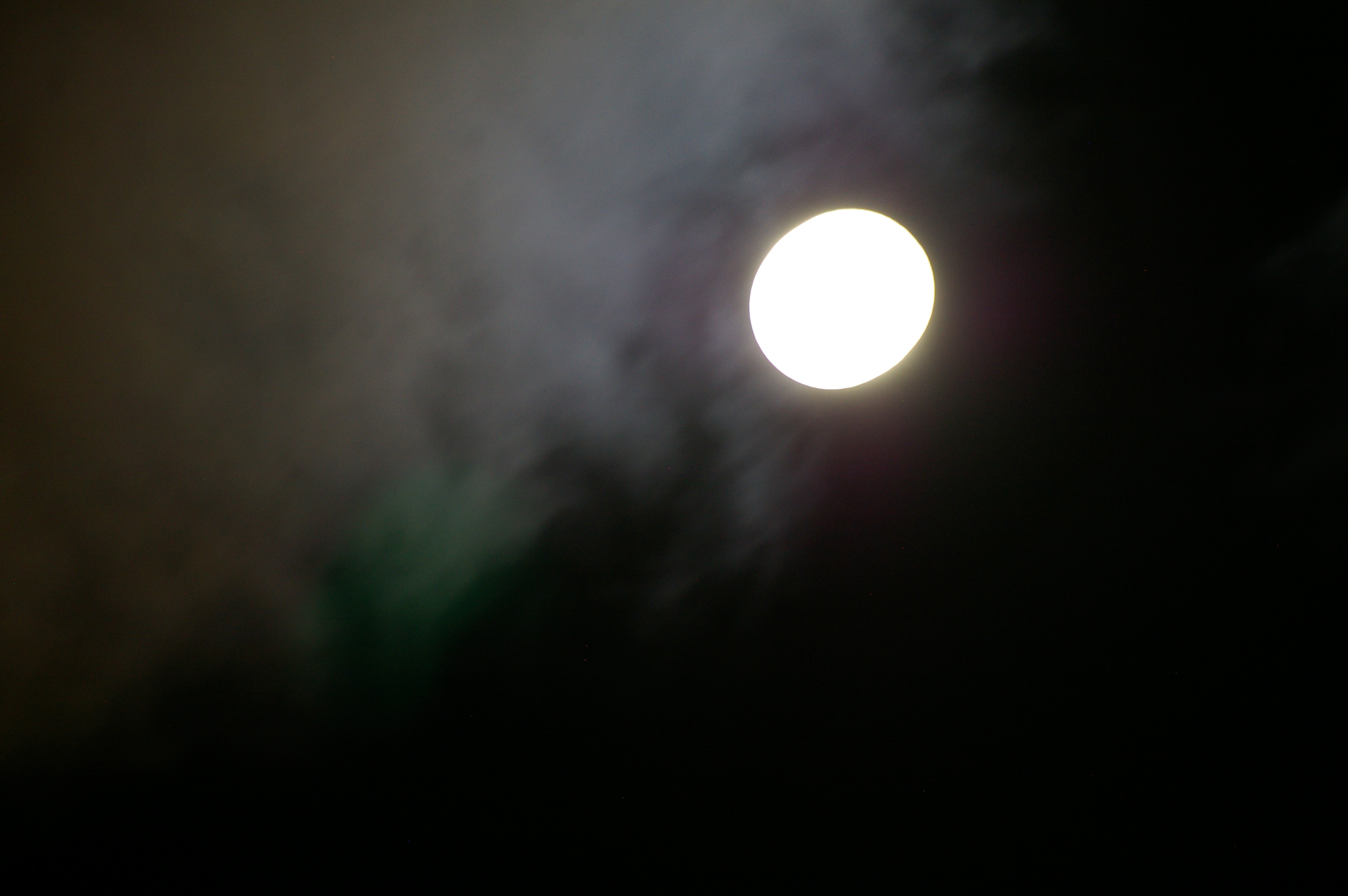 IMGP3509.JPG