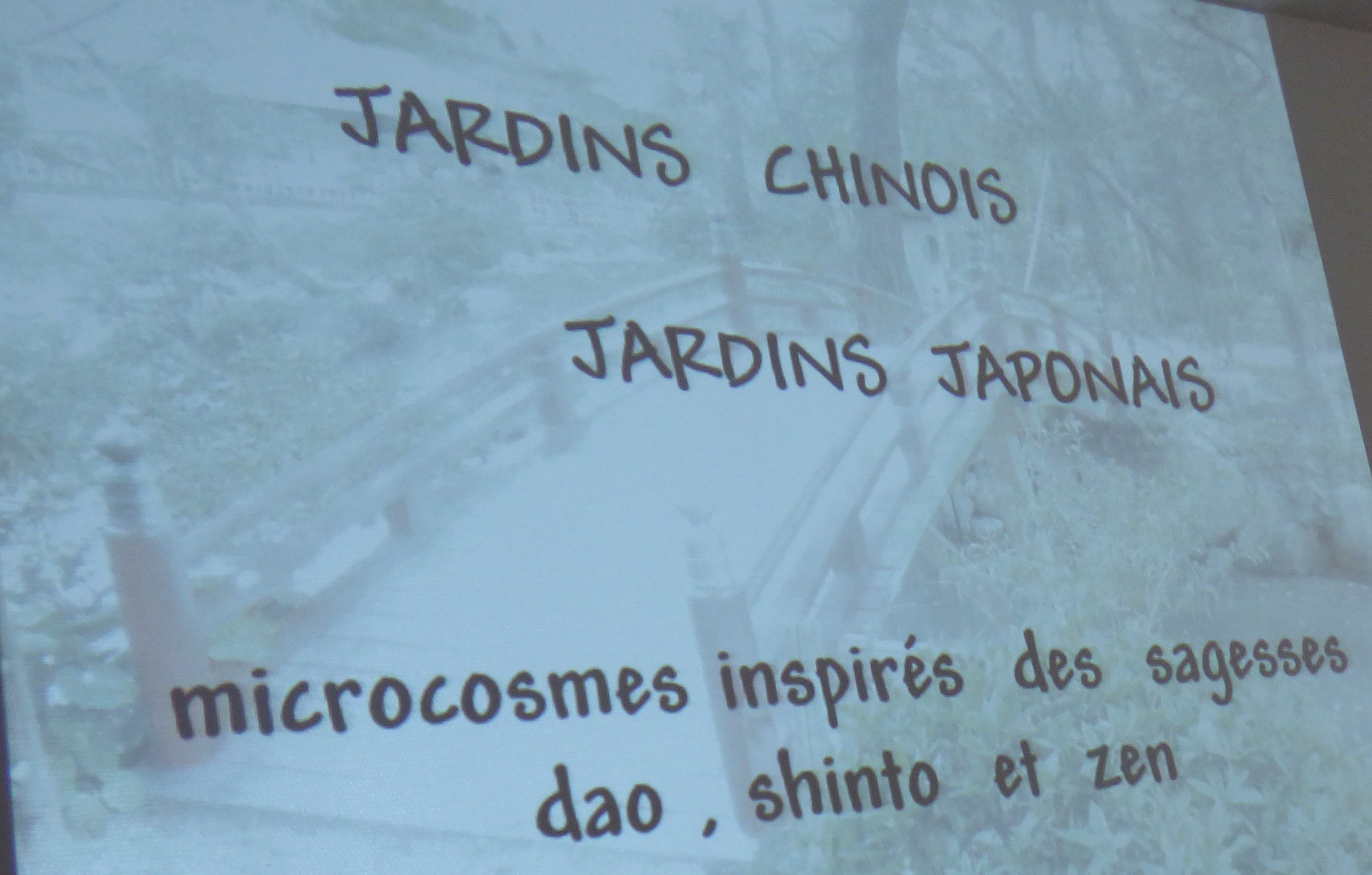 P1000007.JPG