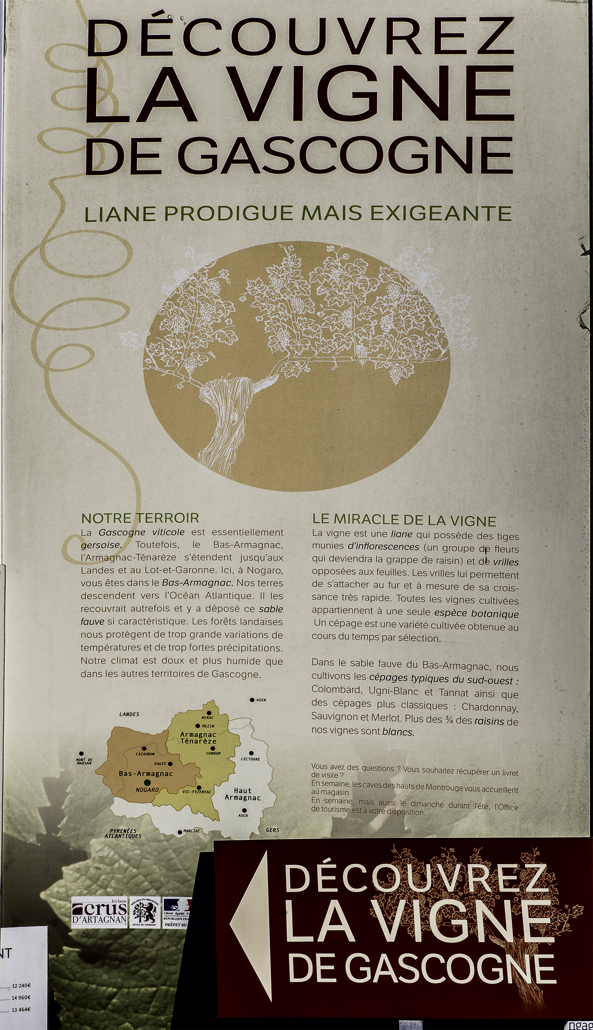 1 Panneau de départ du chemin 1bis 261116.jpg