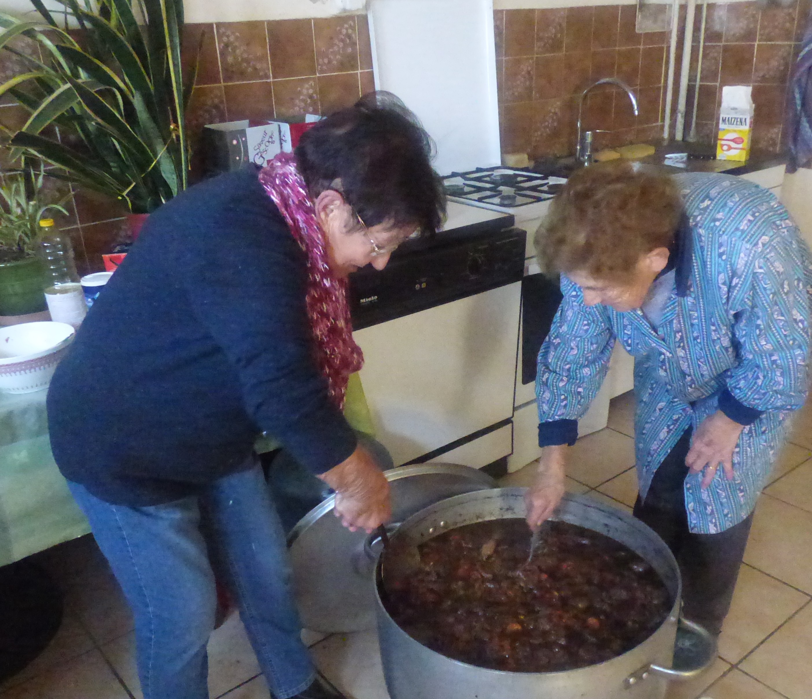 P1000135.JPG