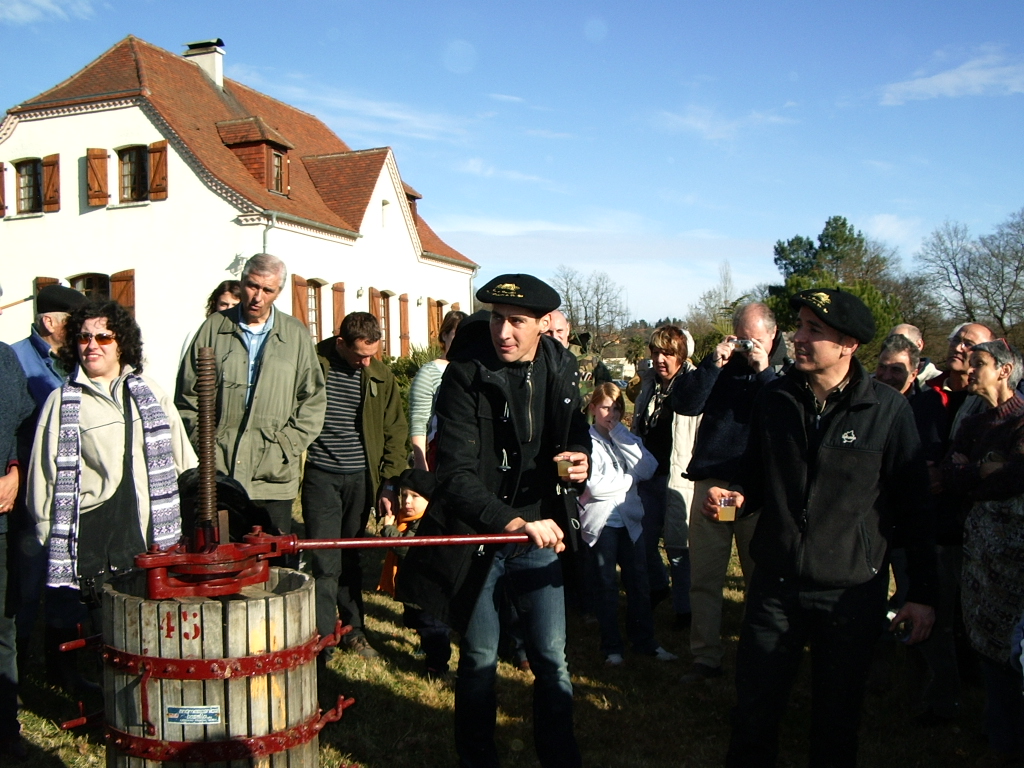 VENDANGES DE L'HIVERNAL 2007 022.JPG