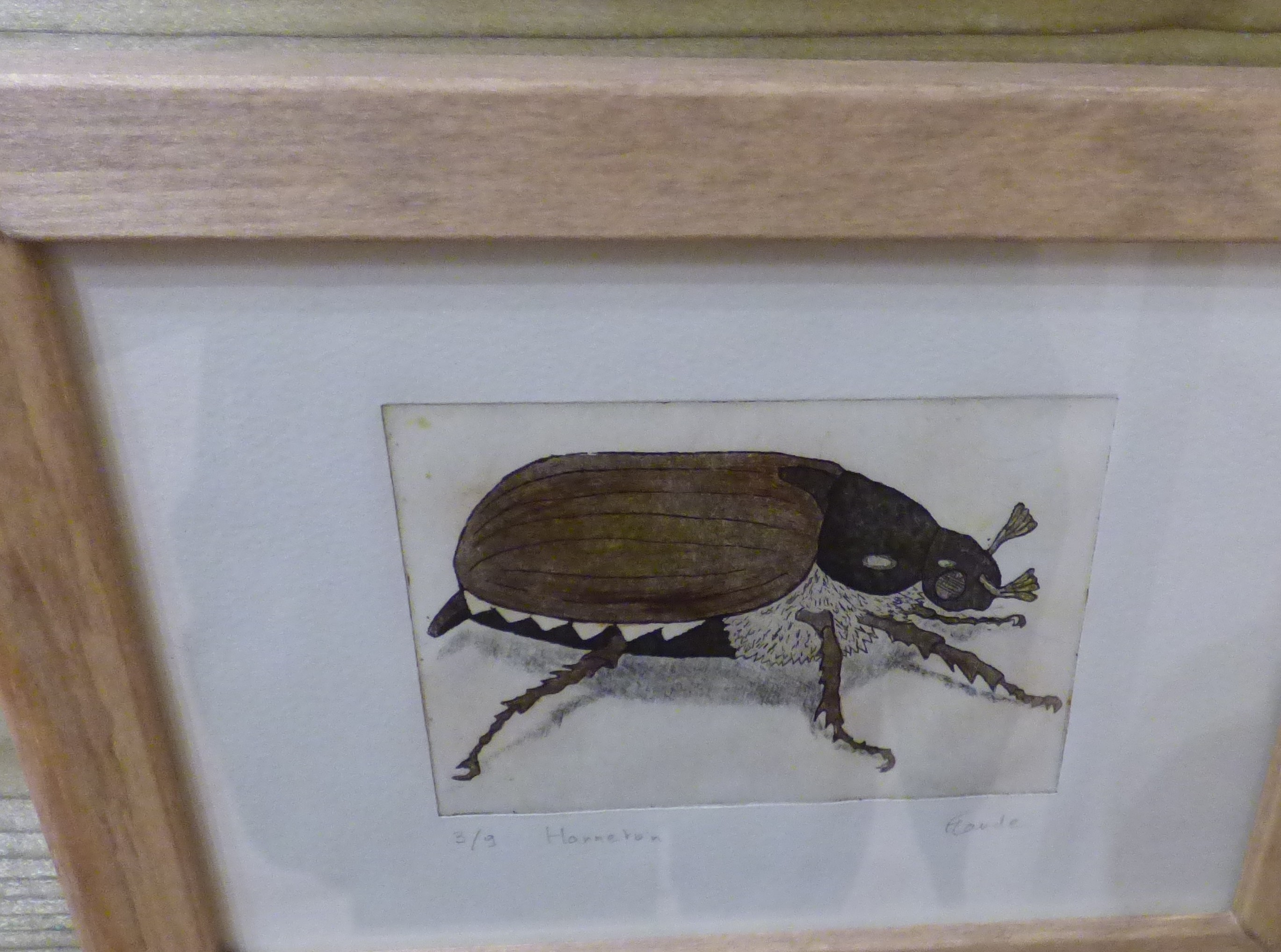 P1000206.JPG