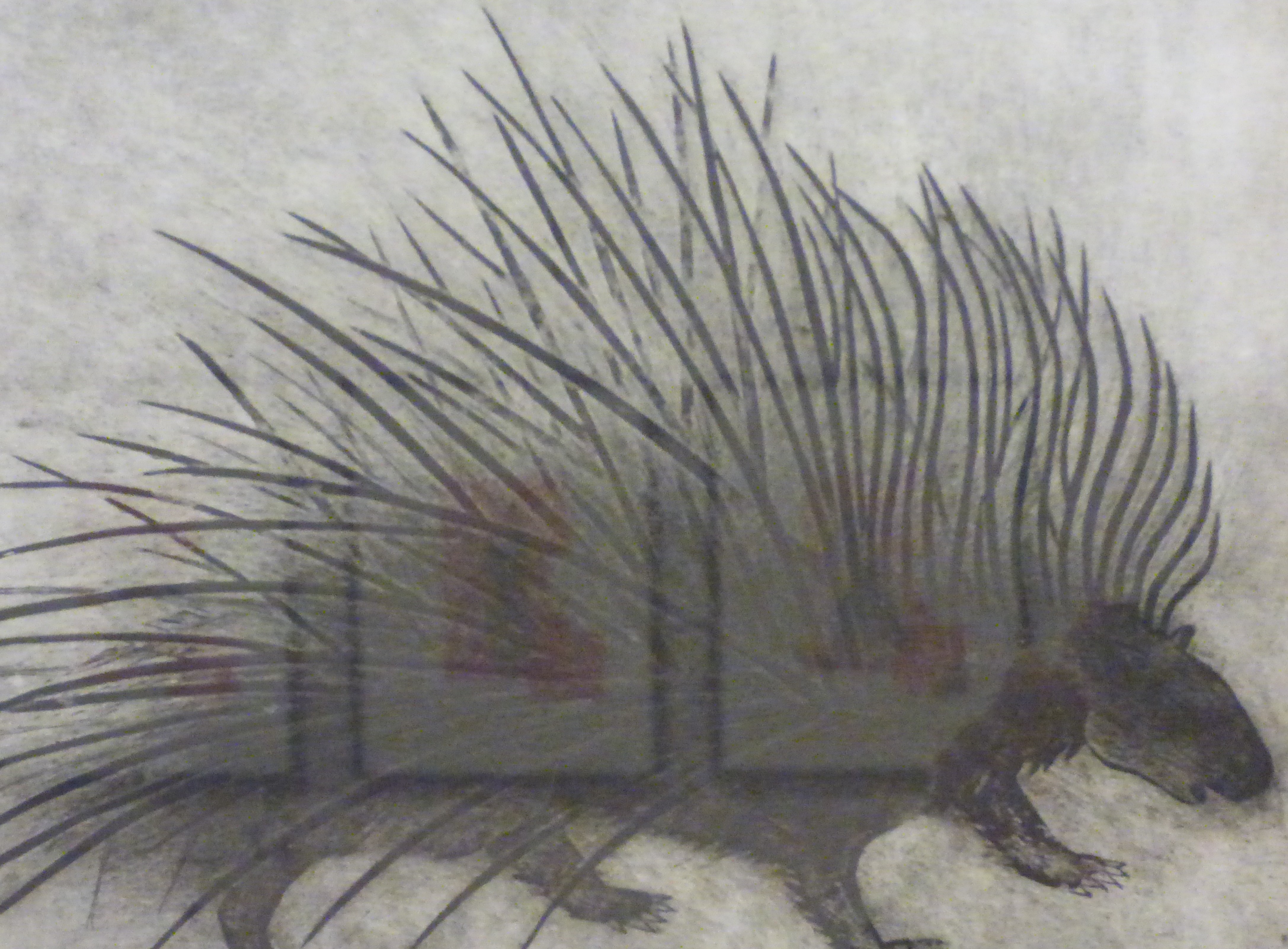 P1000202.JPG