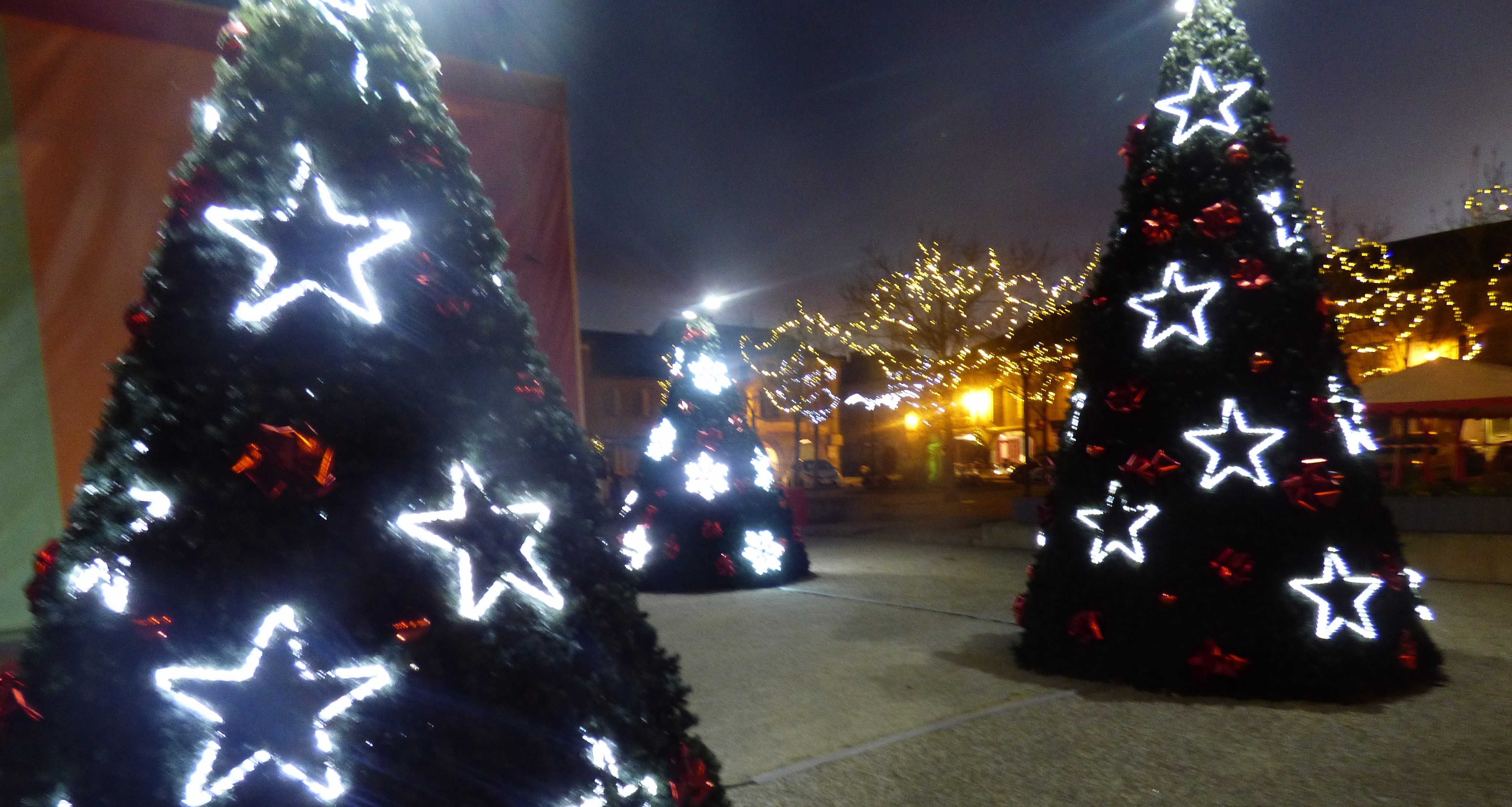 P1000190.JPG