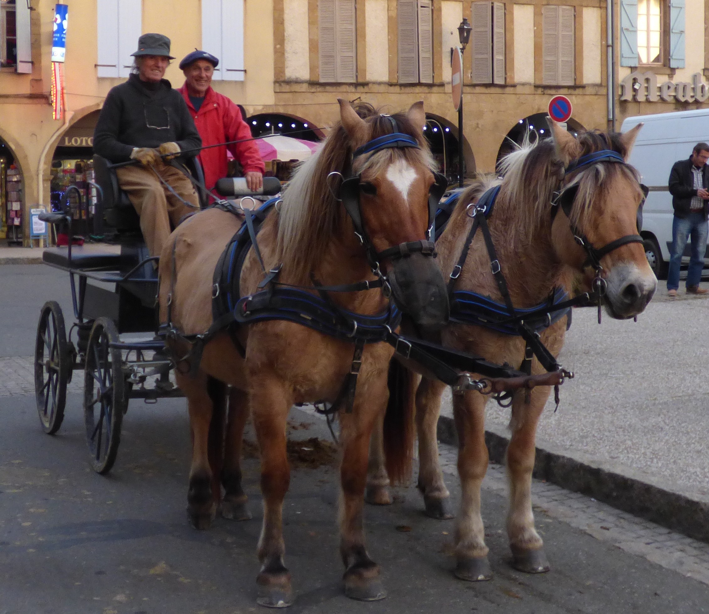 P1000259.JPG