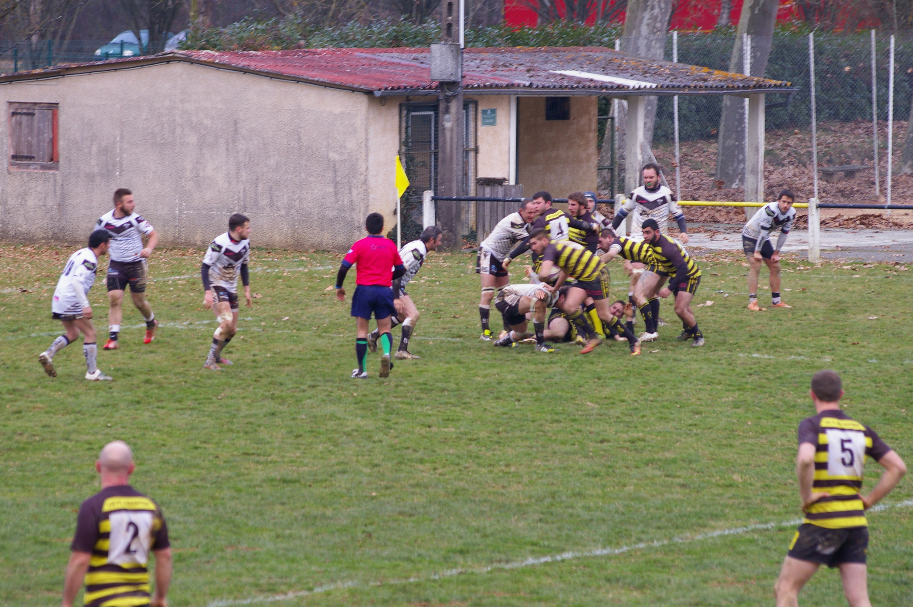 IMGP3767.JPG
