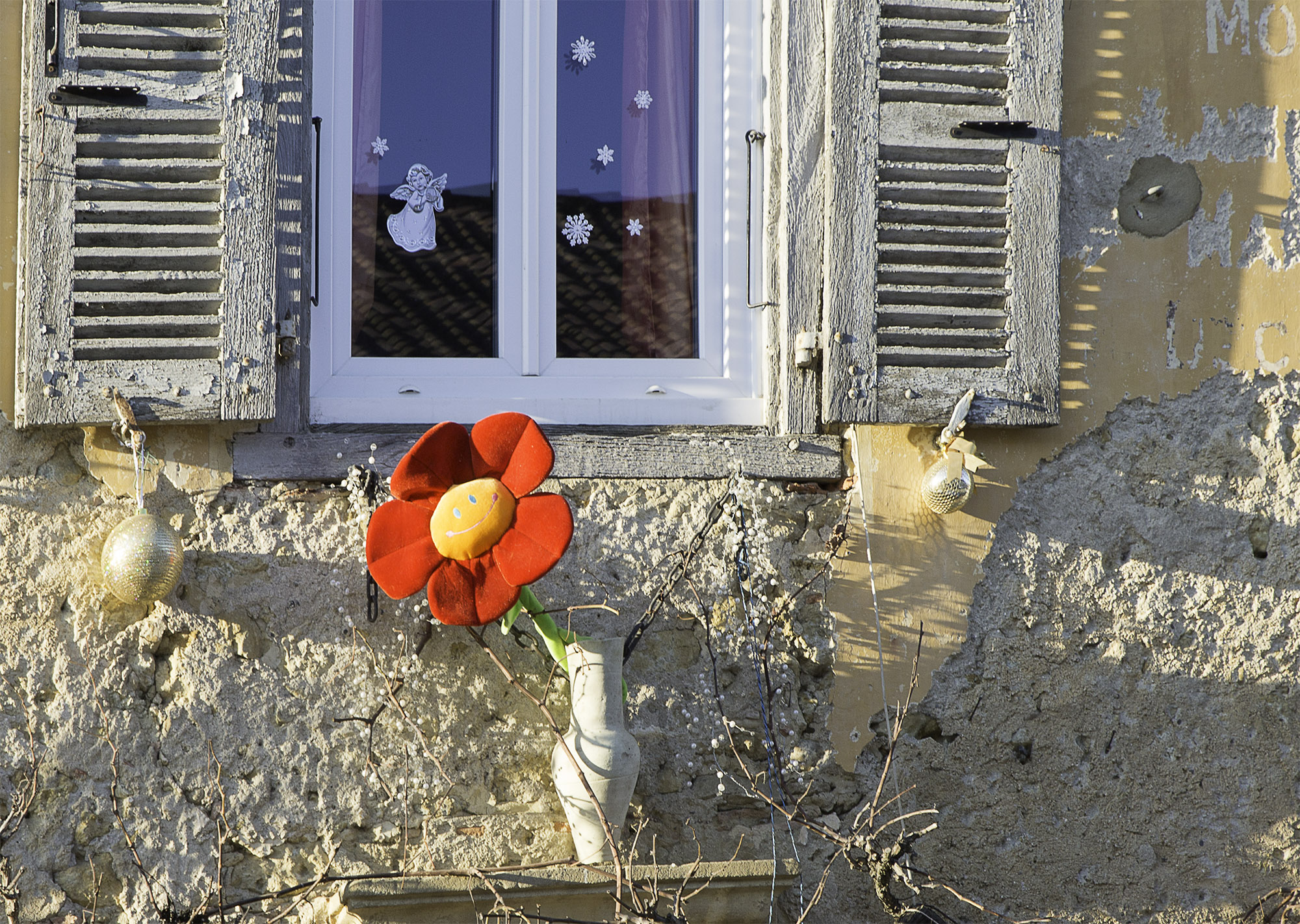 7 Une fleur dans la rue 1bis 311216.jpg