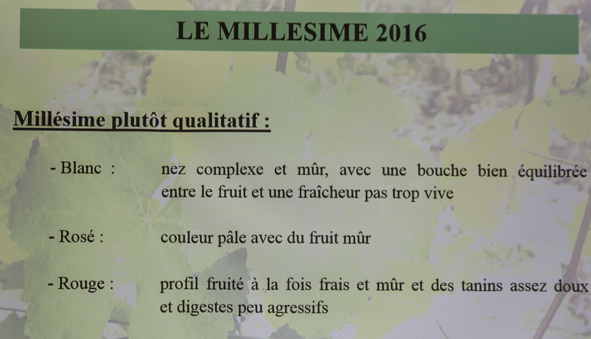 10 Le millésime 2016 rouge blanc rosé 1bis 310117.jpg