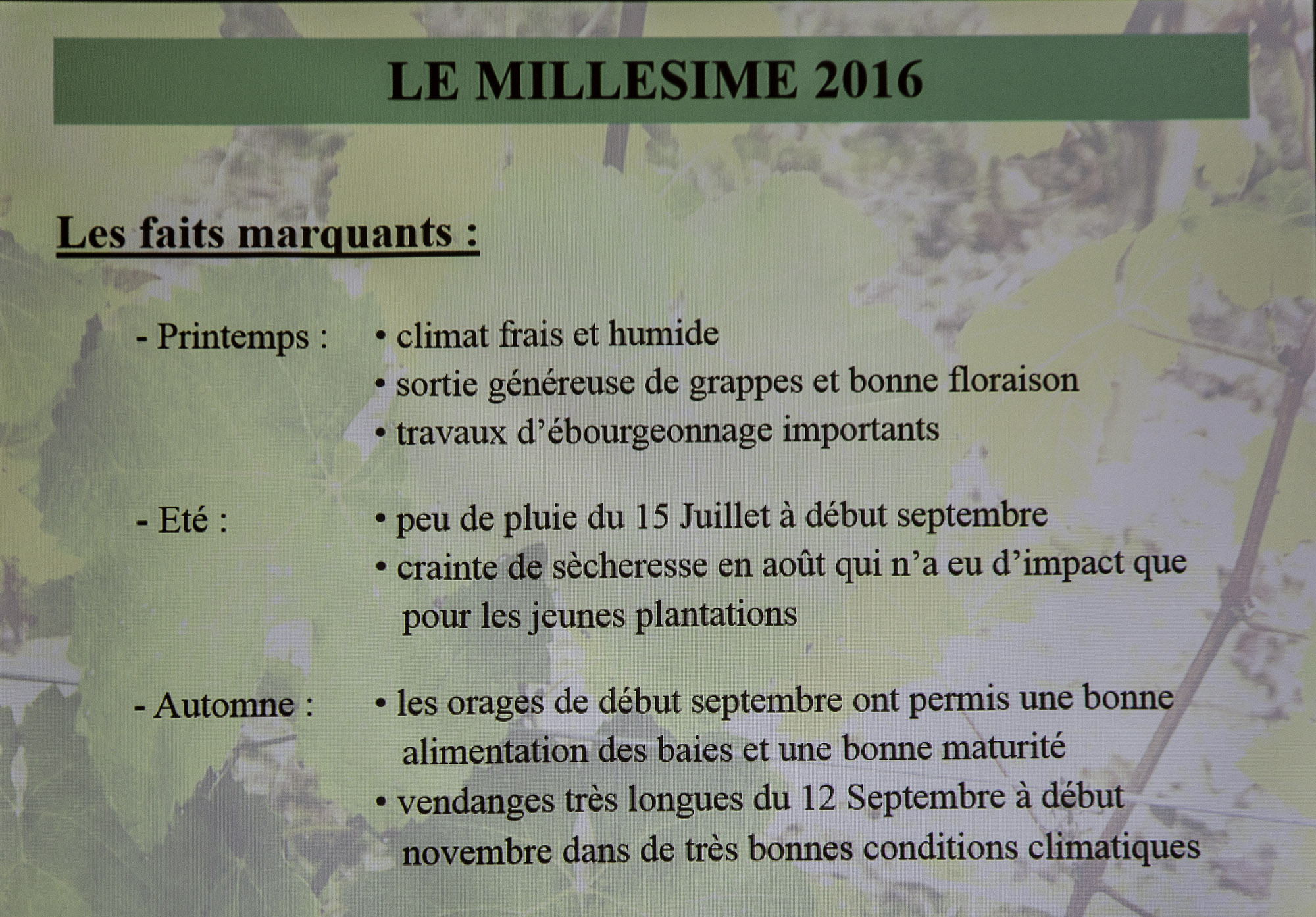 9 Le millésime 2016.jpg