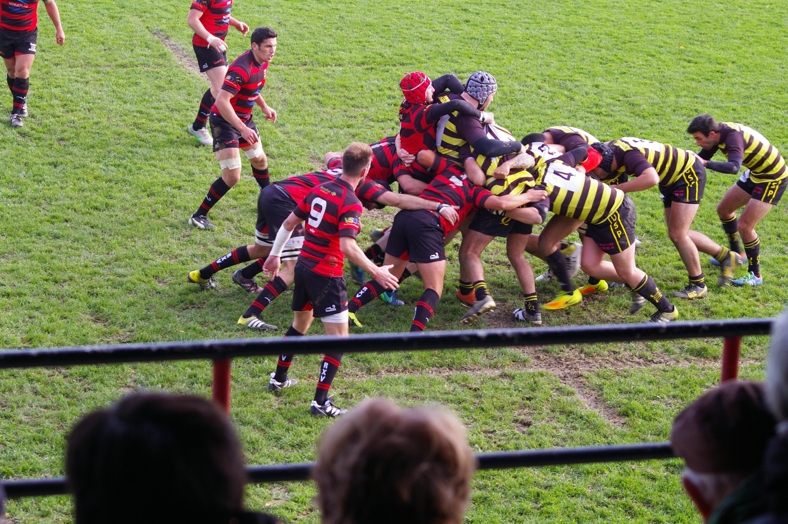 IMGP3439.JPG