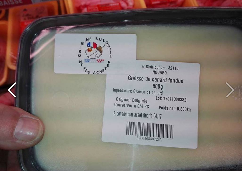 canard bulgare.JPG