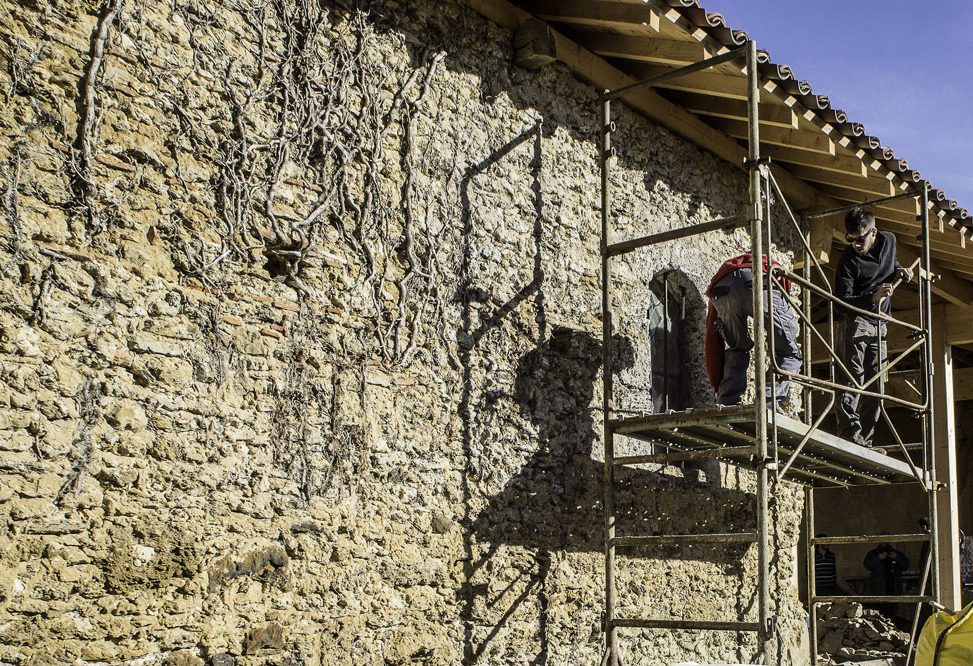 3 Les lianes et autres plantes recouvrent le mur 1bis 140217.jpg